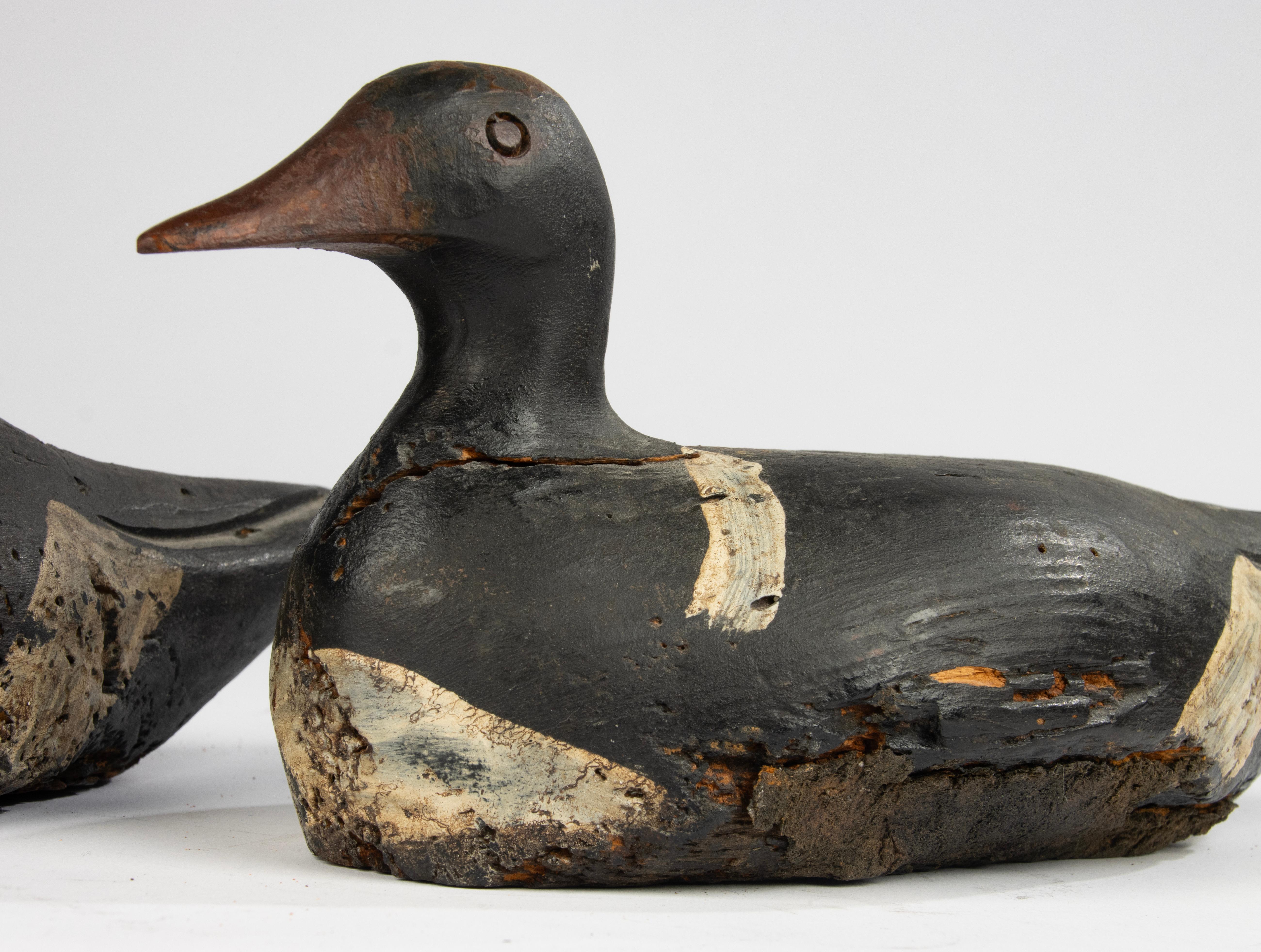 A Pair 19th Century Decoy Ducks 1
