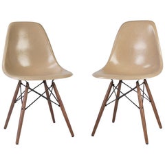 Pair '2' of Greige Herman Miller Eames DSW Side Shell Chair