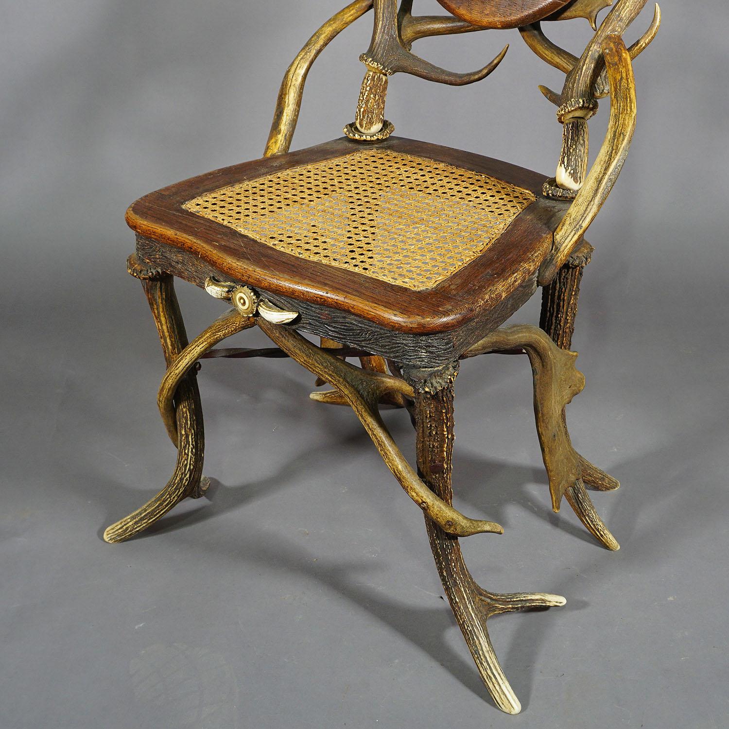 Black Forest Pair of Antique Rustic Antler Parlor Chairs, Germany, circa 1900 For Sale