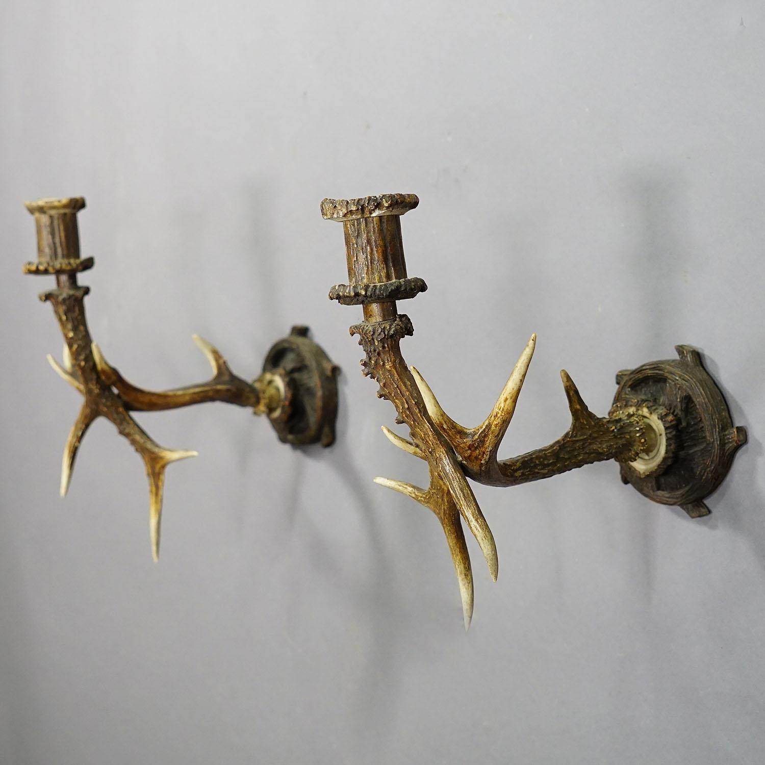 Rustic Pair Black Forest Candle Sconces with Deer Horns, Germany Ca. 1900