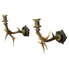 Pair Black Forest Candle Sconces with Deer Horns, Germany Ca. 1900