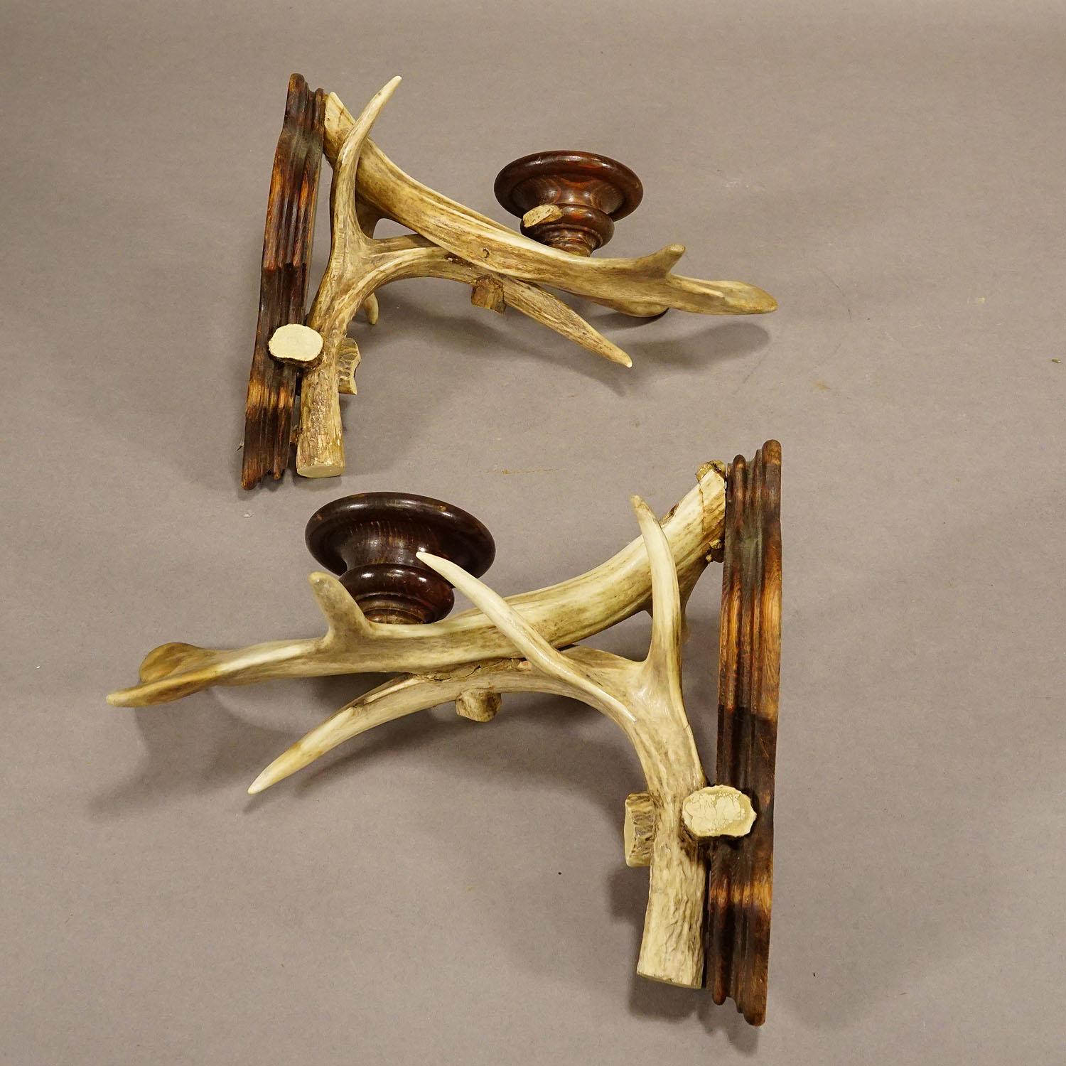 A Pair Black Forest Candle Sconces with Deer Horns, Germany ca. 1920 2