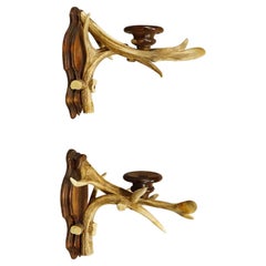 A Pair Black Forest Candle Sconces with Deer Horns, Germany ca. 1920