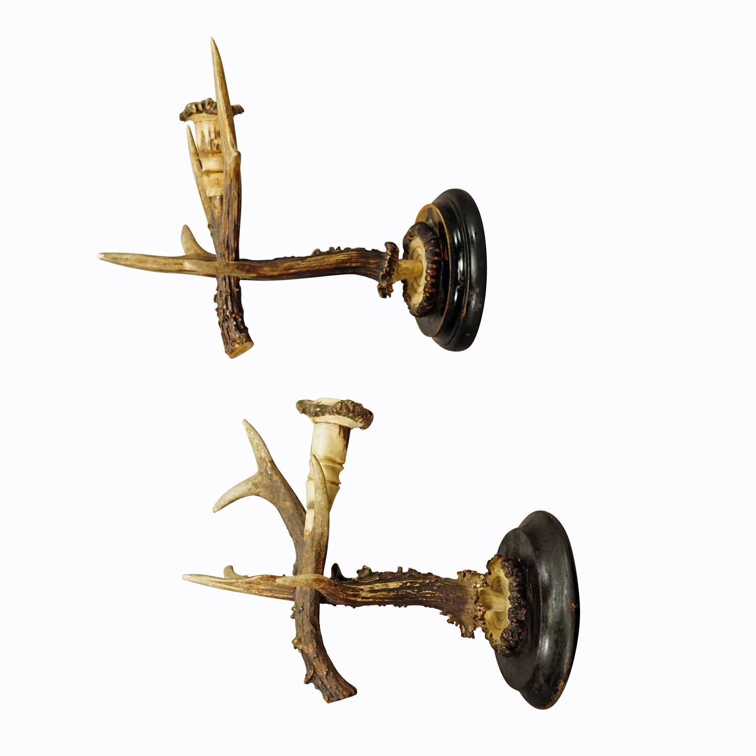 A Pair Black Forest Wall Sconces with Deer Antlers, Germany circa 1900

An antique pair of Black Forest sconces for candles. Each made of original deer antlers which are mounted on a hand carved wooden base. Spouts made of turned deer antlers too.