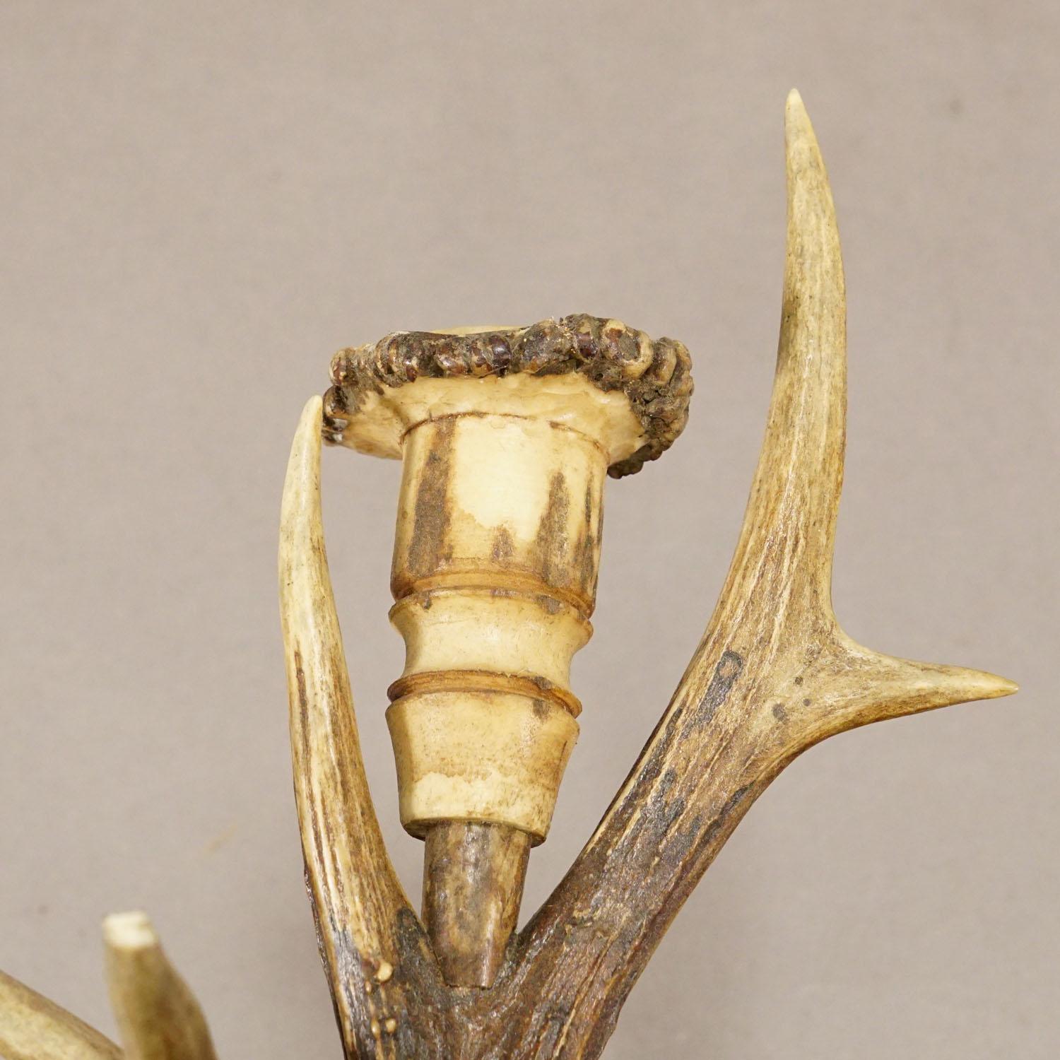 20th Century Pair Black Forest Wall Sconces with Deer Antlers, Germany circa 1900