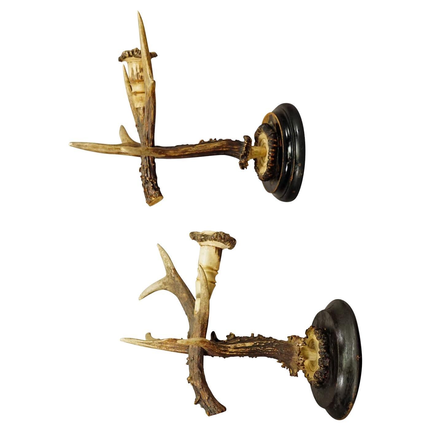 Pair Black Forest Wall Sconces with Deer Antlers, Germany circa 1900