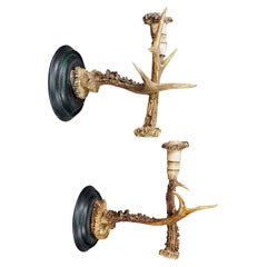 A Pair Great Black Forest Wall Sconces with Deer Horns, Germany ca. 1900