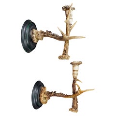 A Pair Great Black Forest Wall Sconces with Deer Antlers, Germany ca. 1900