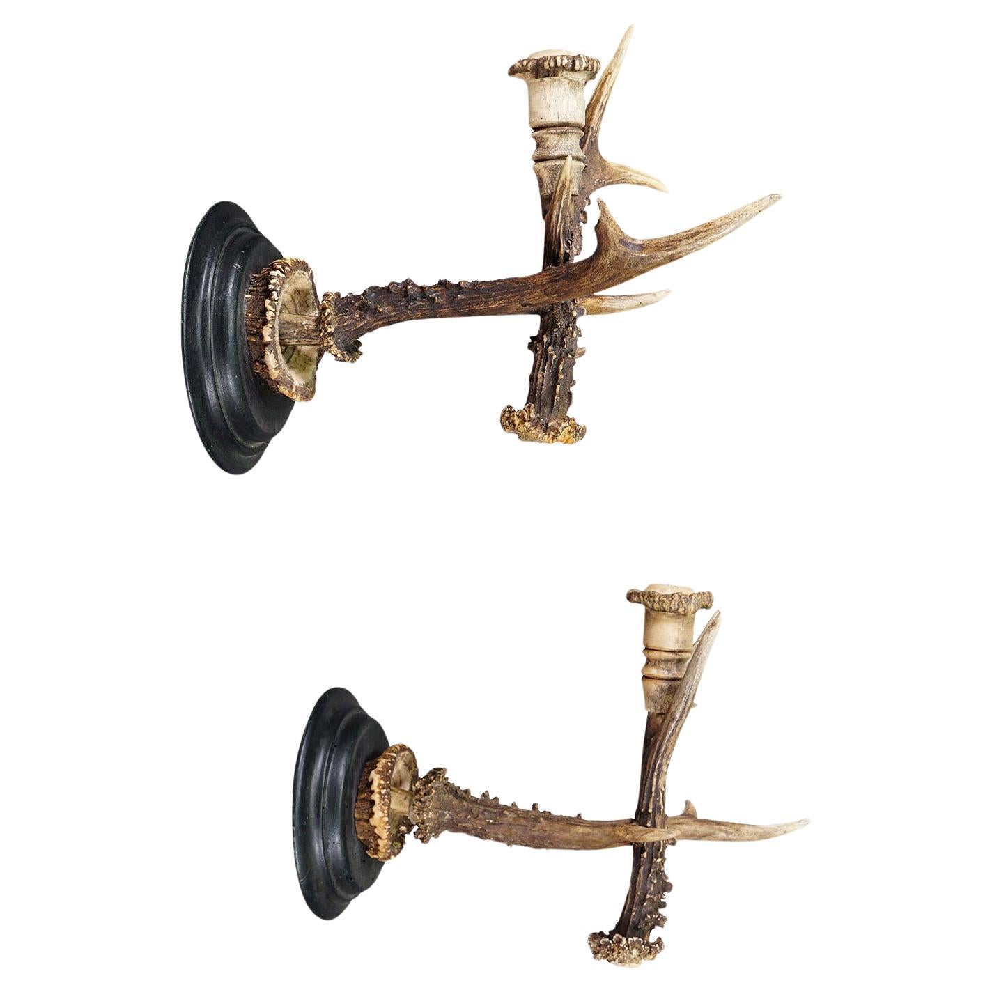 A Pair Great Black Forest Wall Sconces with Deer Horns, Germany ca. 1900 For Sale