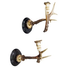 A Pair Great Black Forest Wall Sconces with Deer Horns, Germany ca. 1900