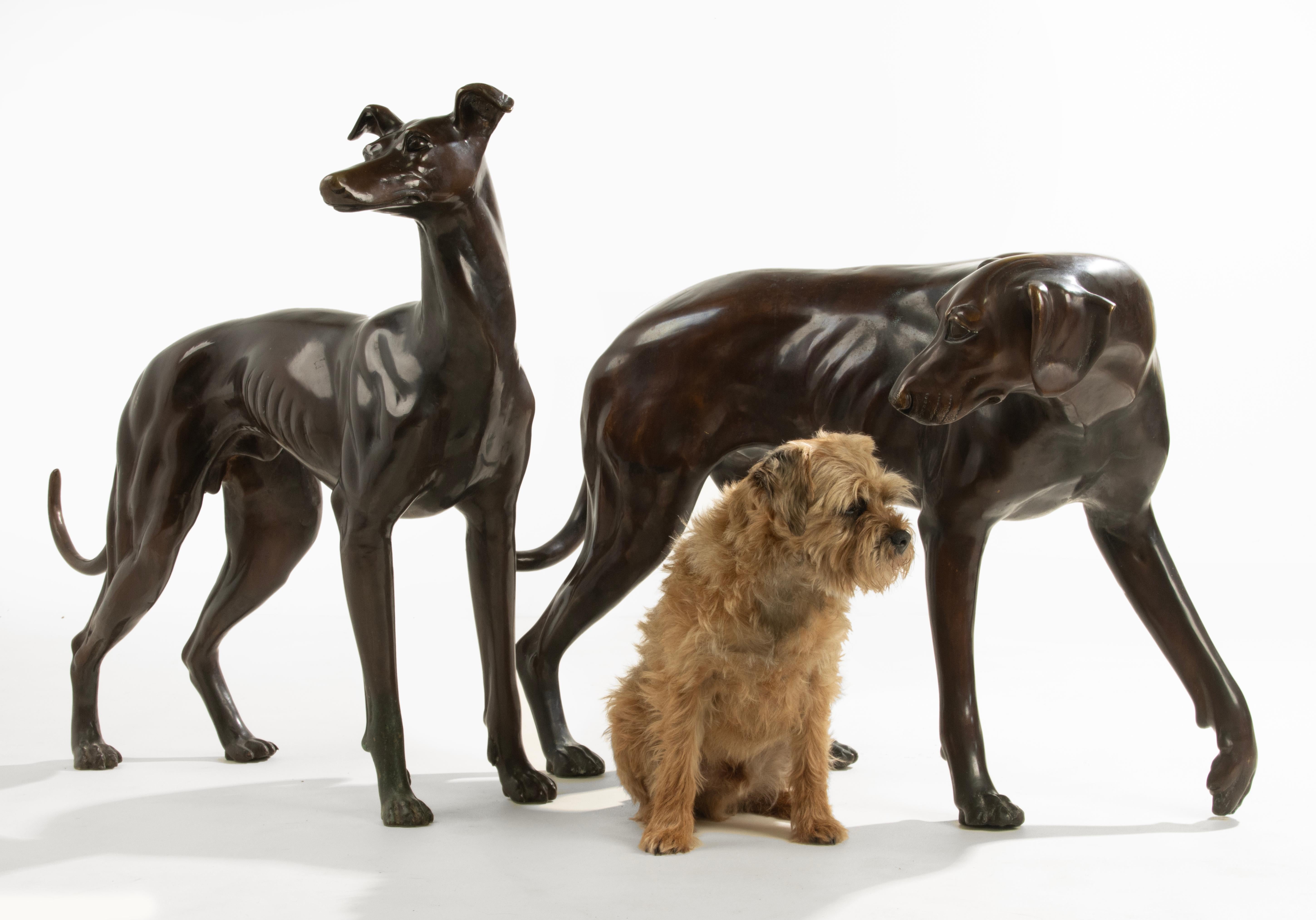 A great pair of life-size bronze statues of a greyhound and a pointer dog.
The sculptures were made by the artist Nishan Toor, the sculptures date from approximately 1960.
One of the two dogs is clearly signed on the foot.
The sculptures are of