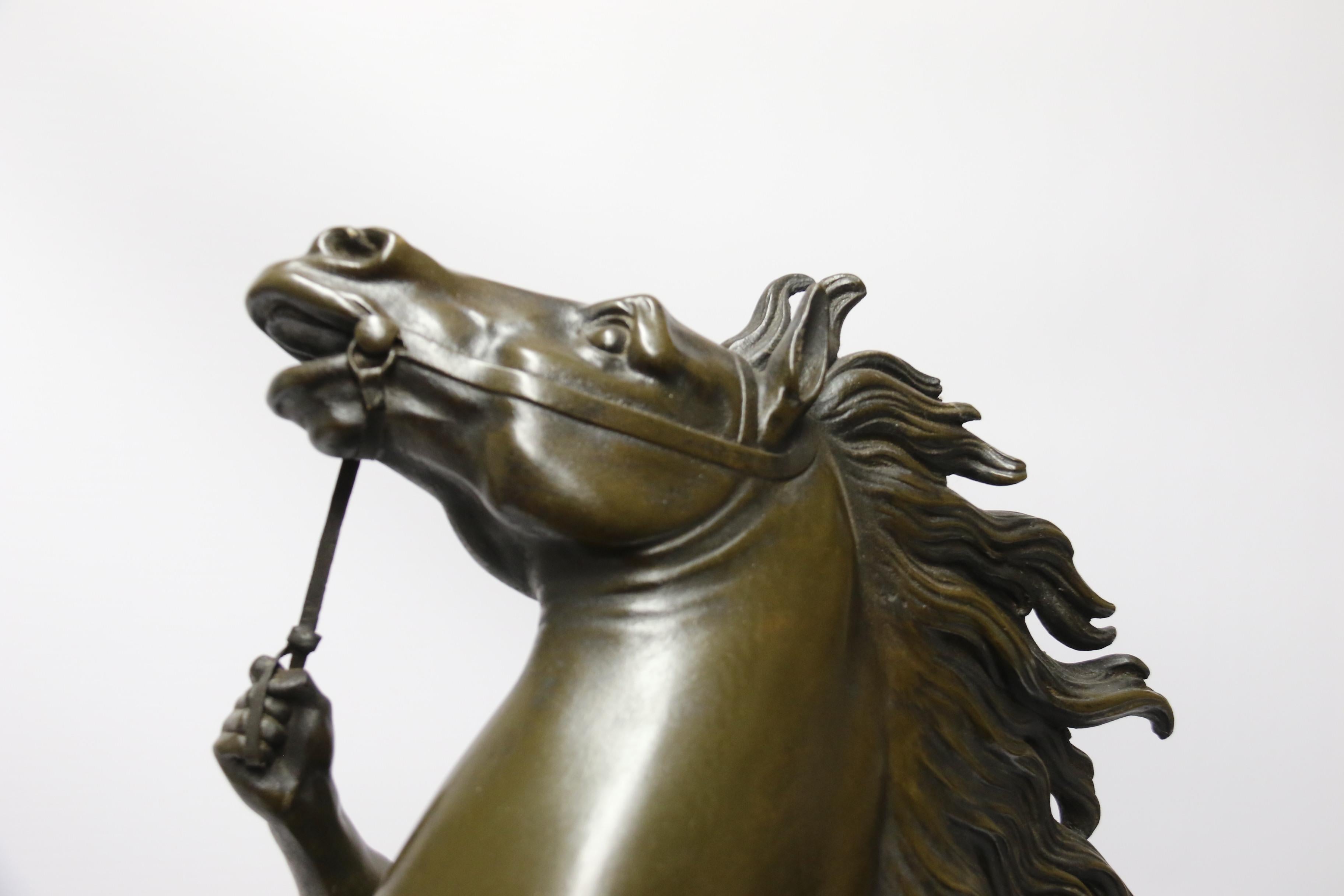 Pair of Marly Horses, Cast Bronze, French, Large Scale, circa 1880 7