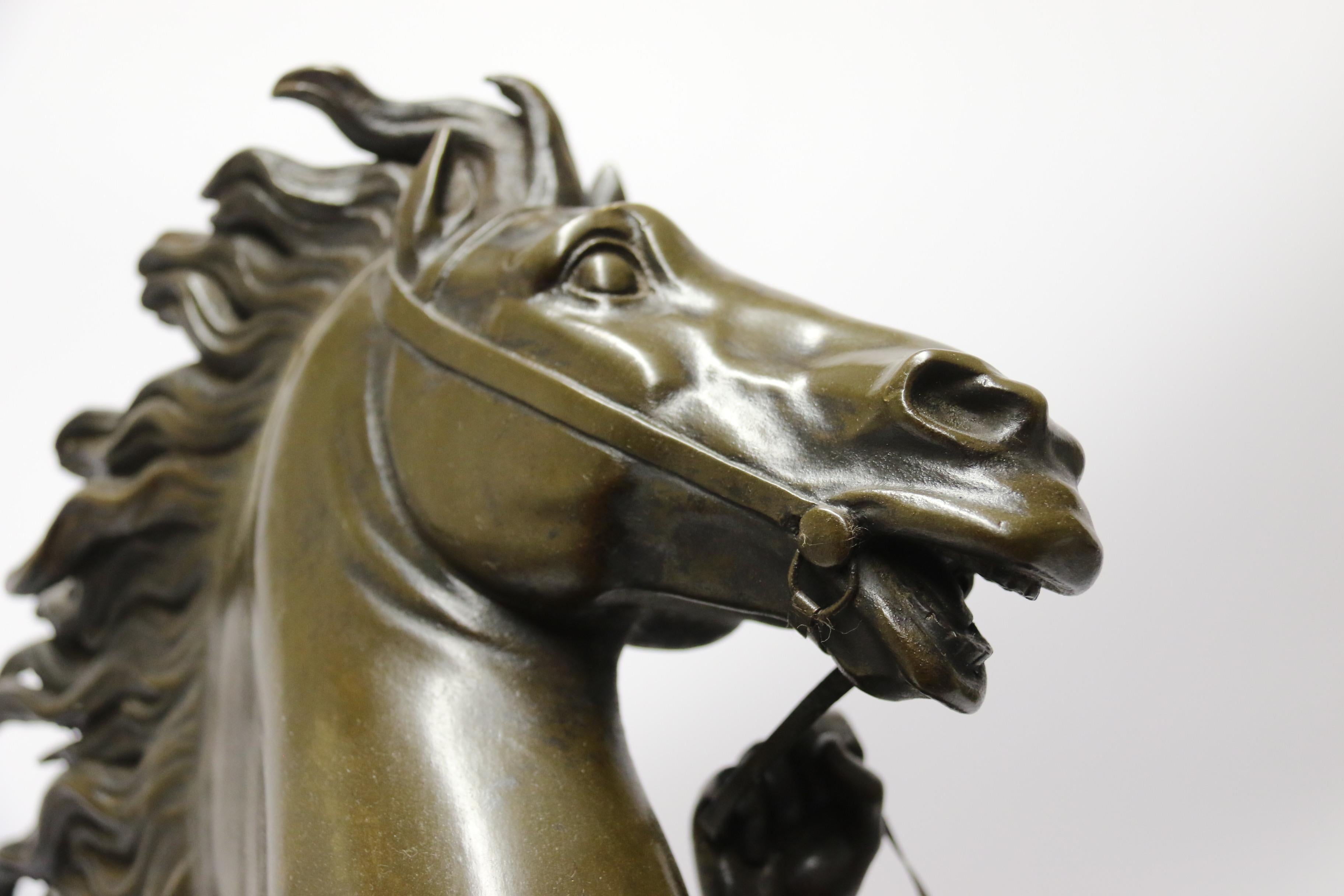 Pair of Marly Horses, Cast Bronze, French, Large Scale, circa 1880 14