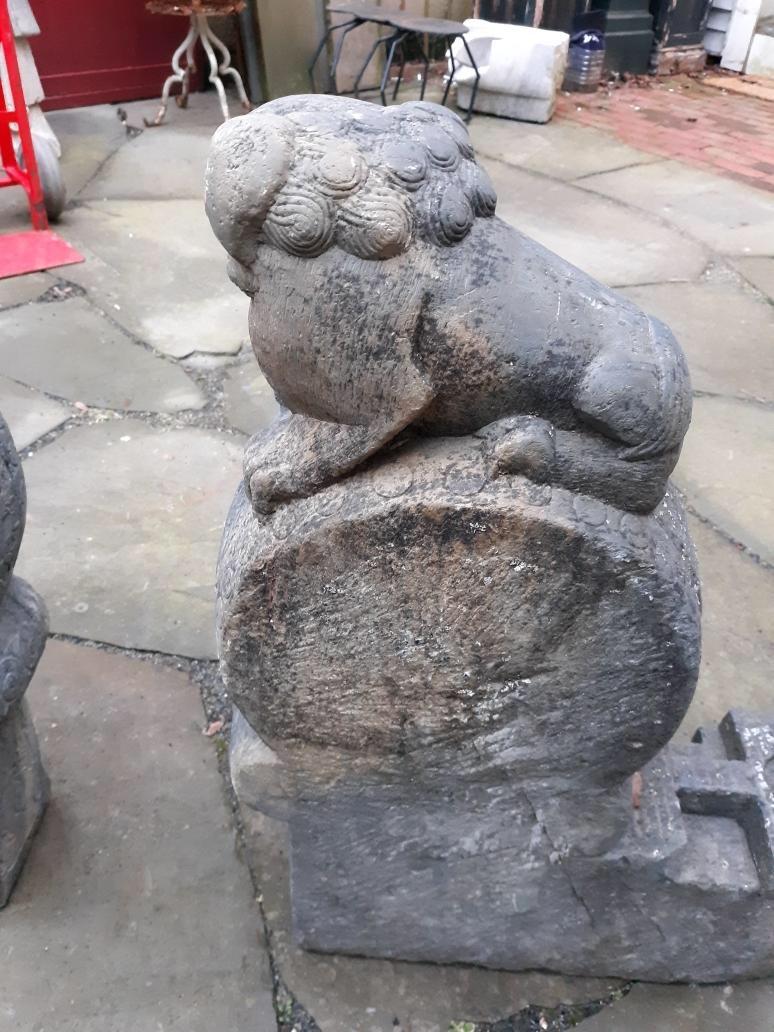 Ming Pair of 18th Century Chinese Foo Dog Stone Carvings