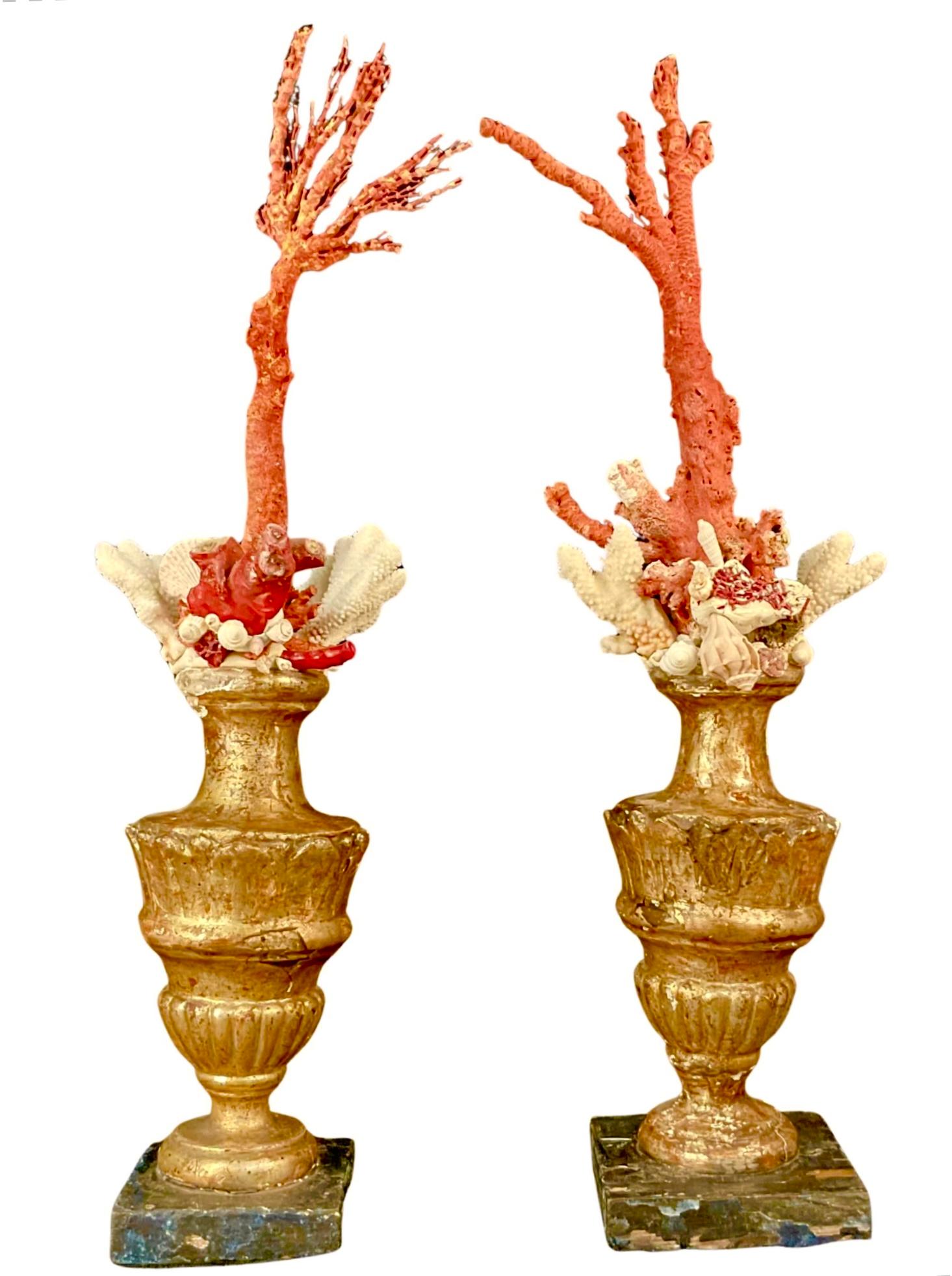 A Pair of 18th Century Giltwood Fragments Mounted With Shells And Coral For Sale 5