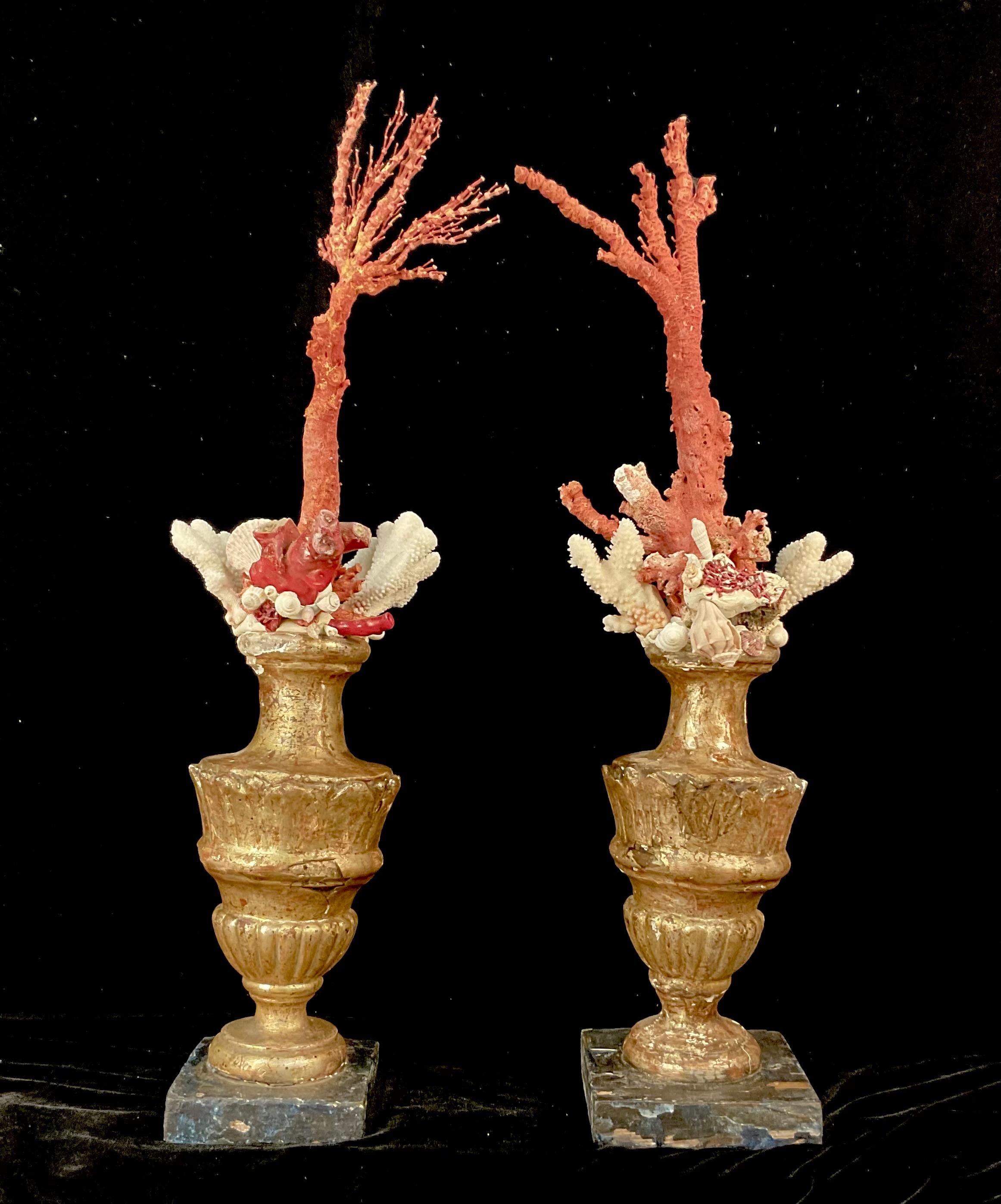 A Pair of 18th Century Giltwood Fragments With Red Coral and Shells mounted on urn fragment base. These fragments were first made during the Rococo or neoclassical periods, known for ornate designs. The addition of red coral and shells was also a