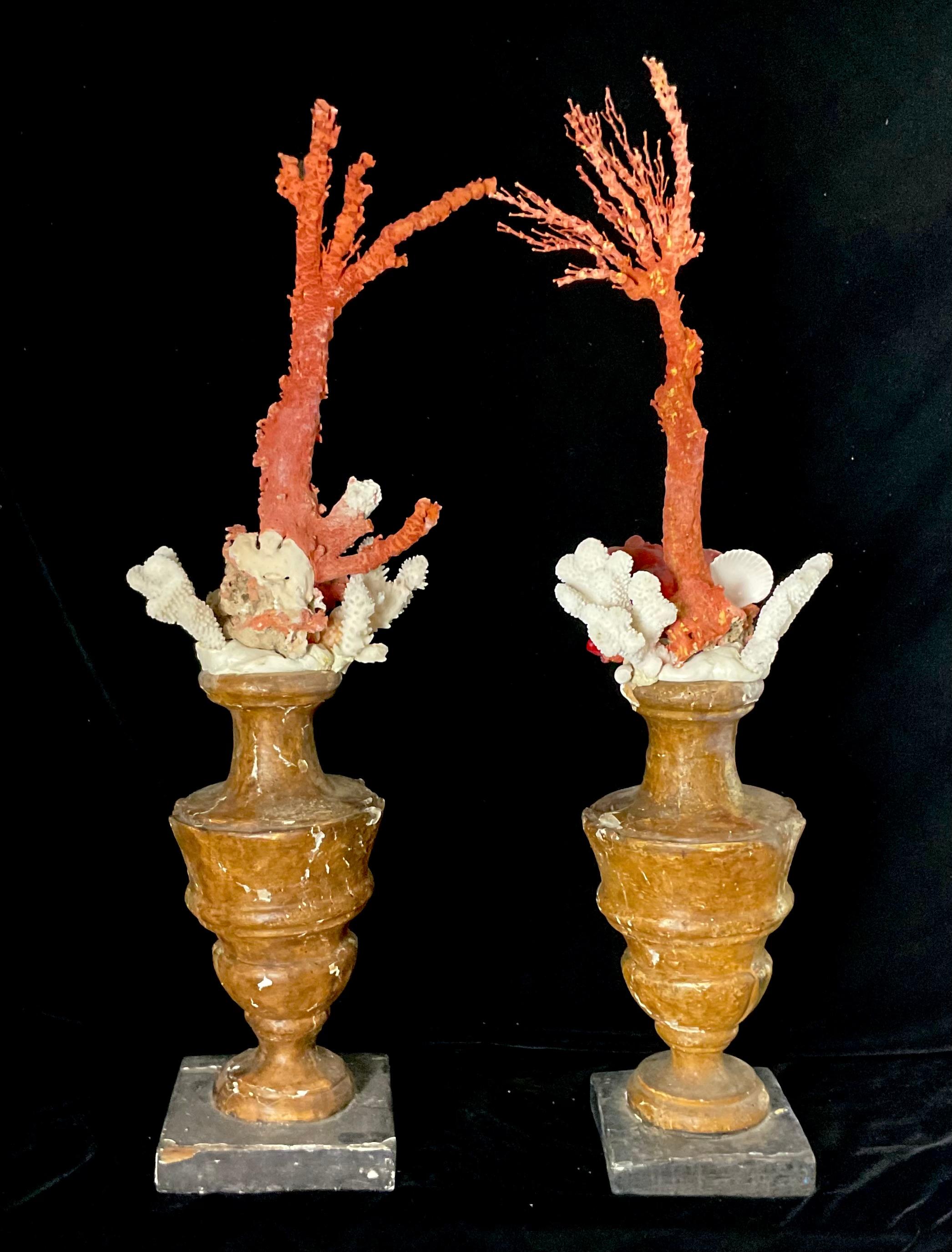 A Pair of 18th Century Giltwood Fragments Mounted With Shells And Coral In Good Condition For Sale In Bradenton, FL
