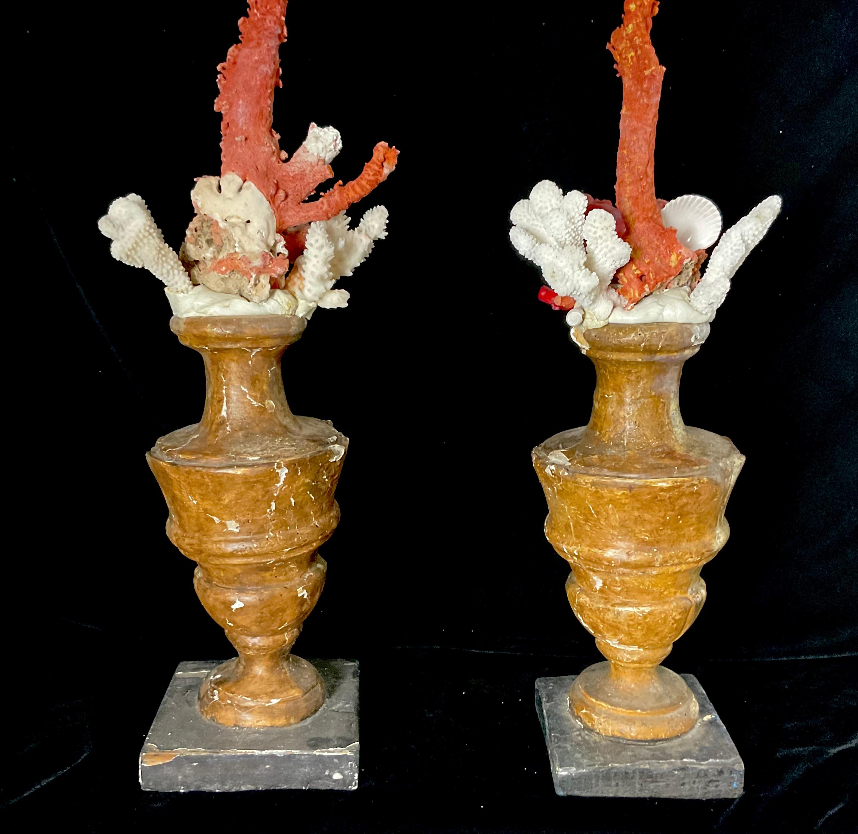 18th Century and Earlier A Pair of 18th Century Giltwood Fragments Mounted With Shells And Coral For Sale