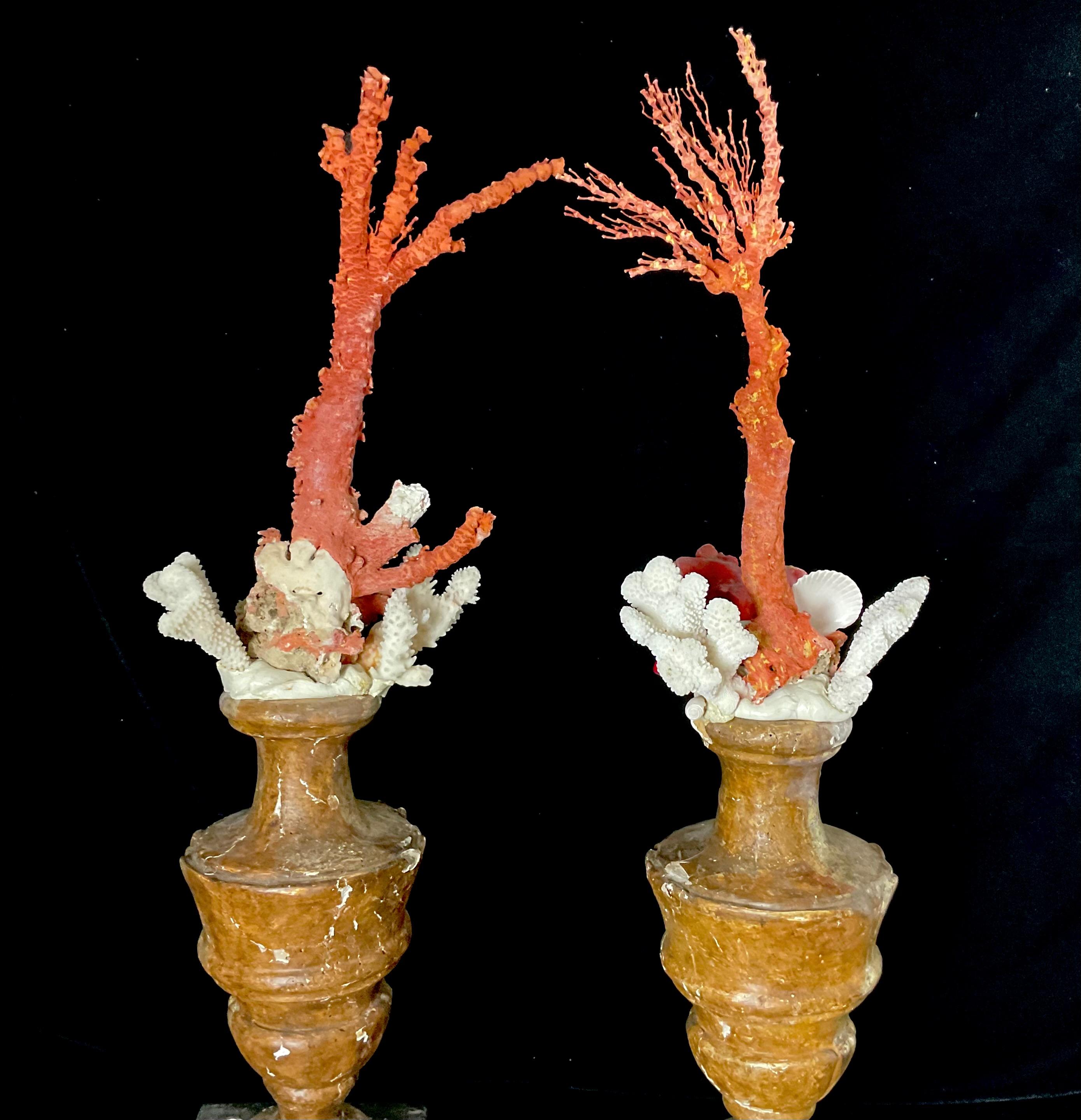 A Pair of 18th Century Giltwood Fragments Mounted With Shells And Coral For Sale 1