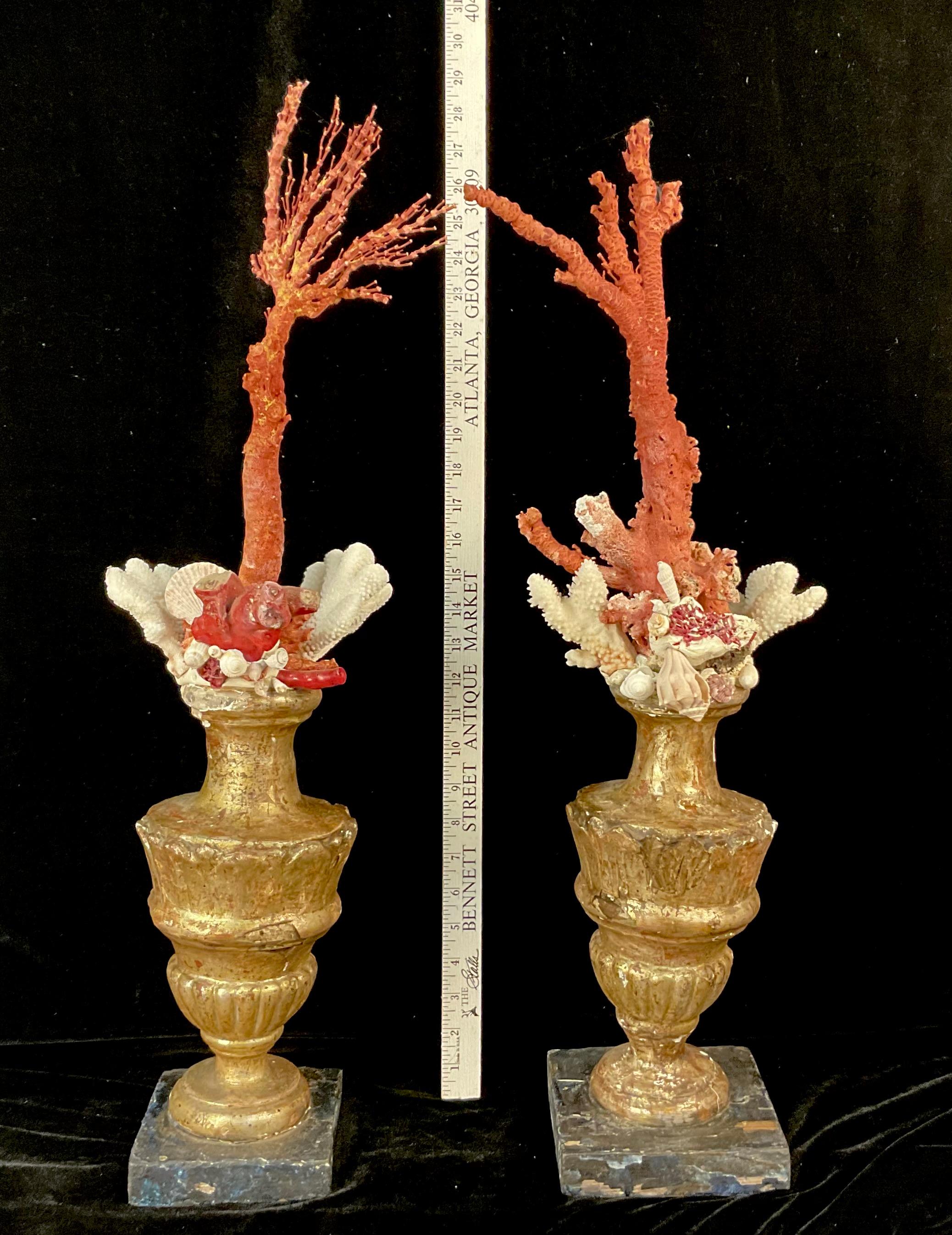 A Pair of 18th Century Giltwood Fragments Mounted With Shells And Coral For Sale 4