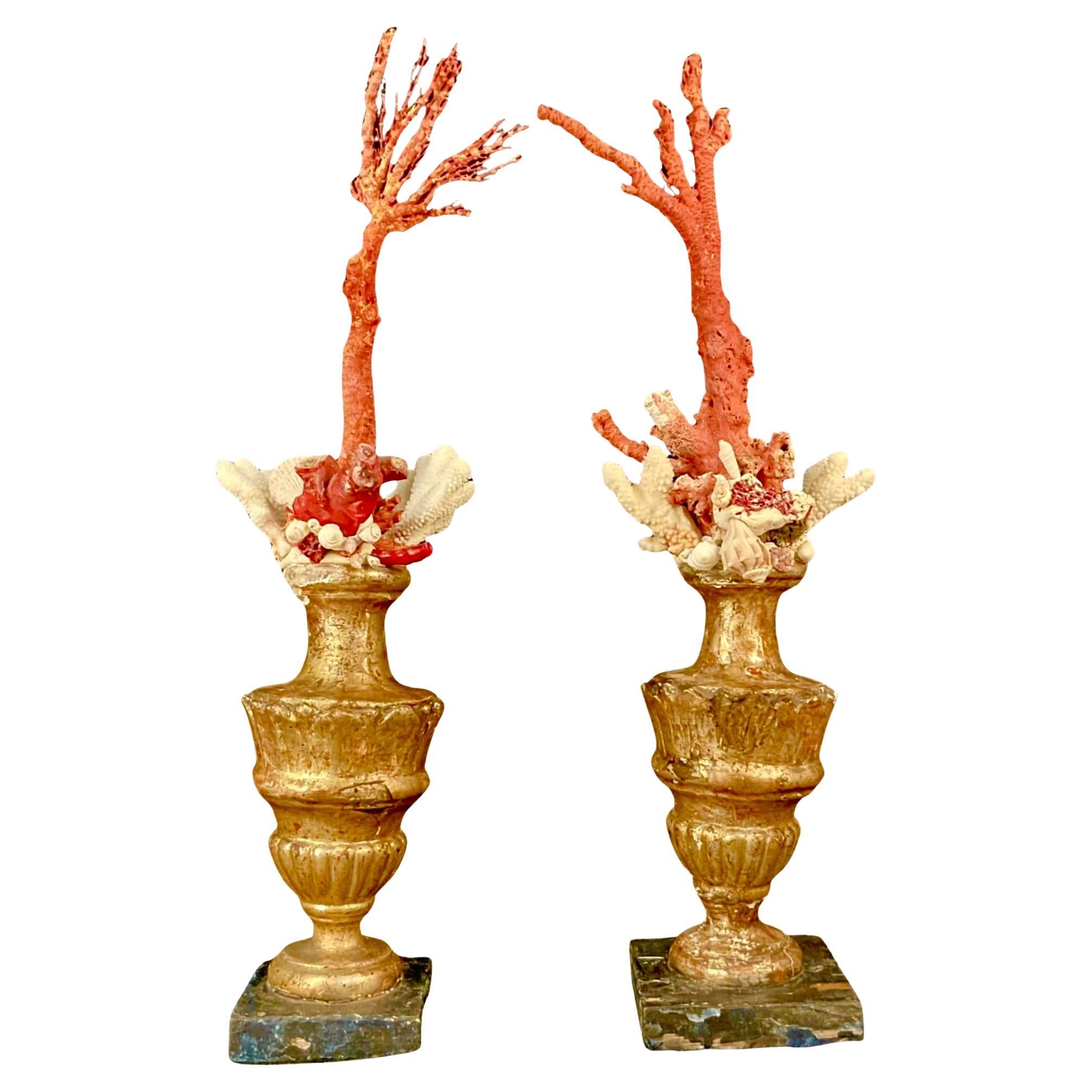 A Pair of 18th Century Giltwood Fragments Mounted With Shells And Coral For Sale