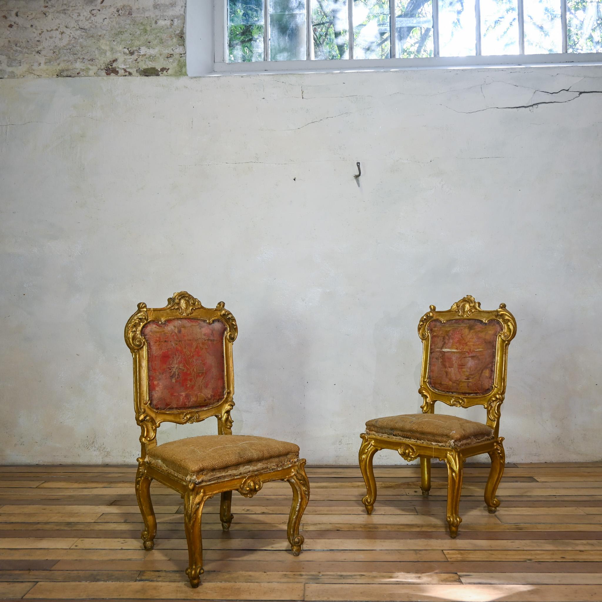 Paire de chaises d'appoint en bois doré d'Italie du Nord. Il présente un dossier en forme de cartouche, où des volutes méticuleusement sculptées tissent un récit de raffinement artistique, conférant un air de sophistication indéniable à l'ensemble