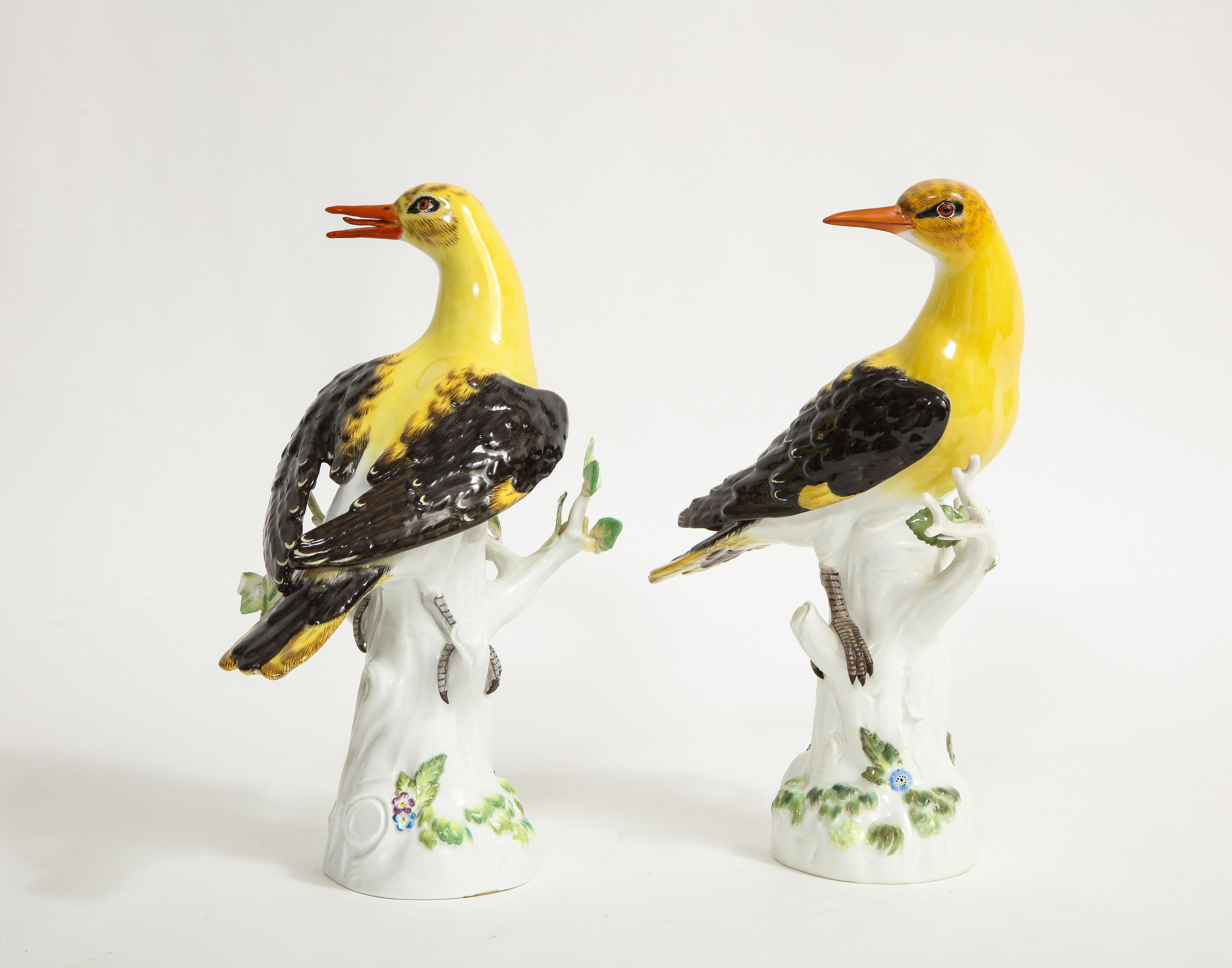 Pair of 19/20th C. Louis XVI Style Meissen Models of Golden Oriole Birds For Sale 2
