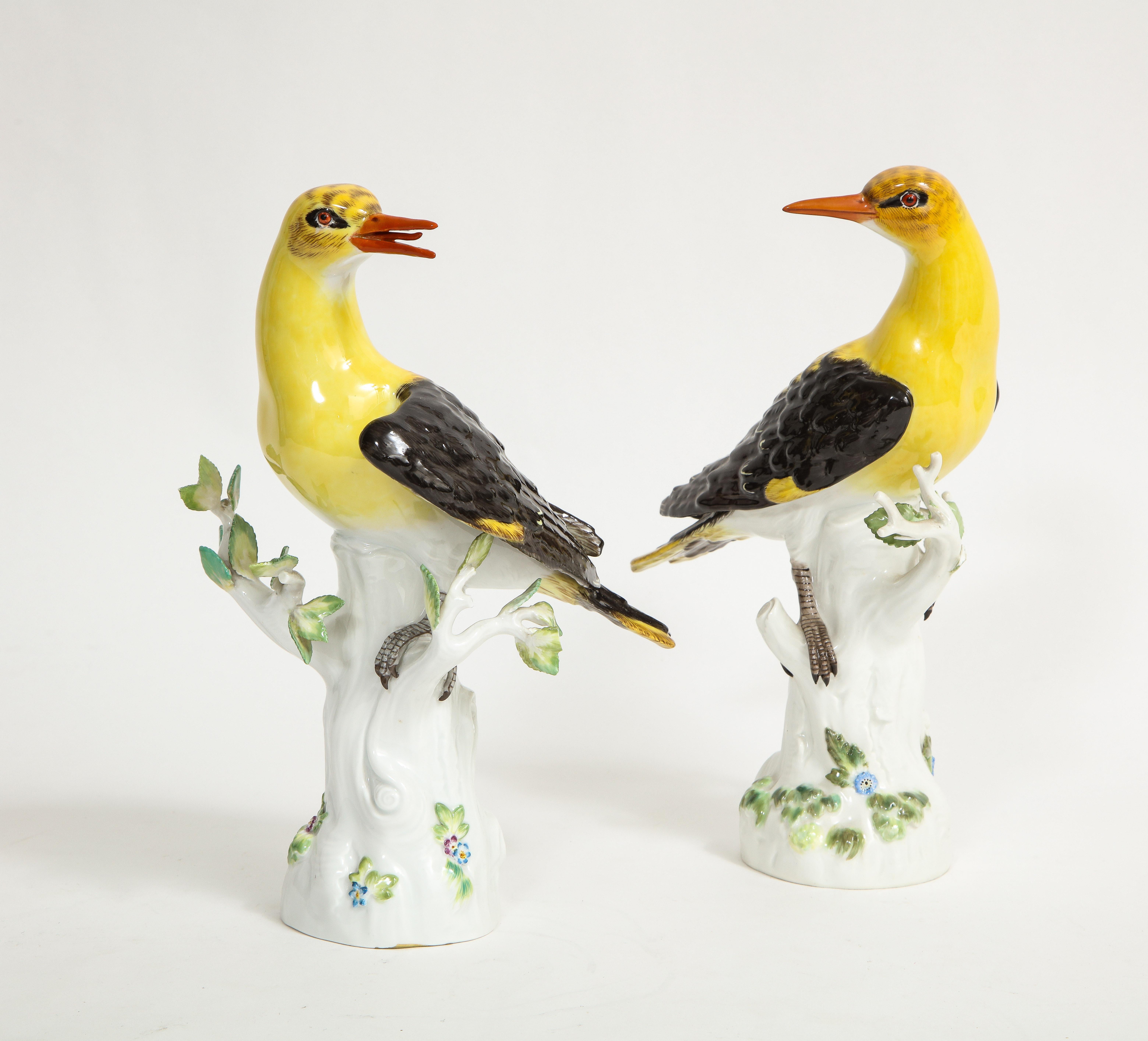 A fantastic pair of 19/20th century Louis XVI Style Meissen Models of Golden Oriole birds. Each bird is naturalistically modeled and perched on white birch tree stumps with leaves and flowers. They are gorgeously hand-painted with variable colors of