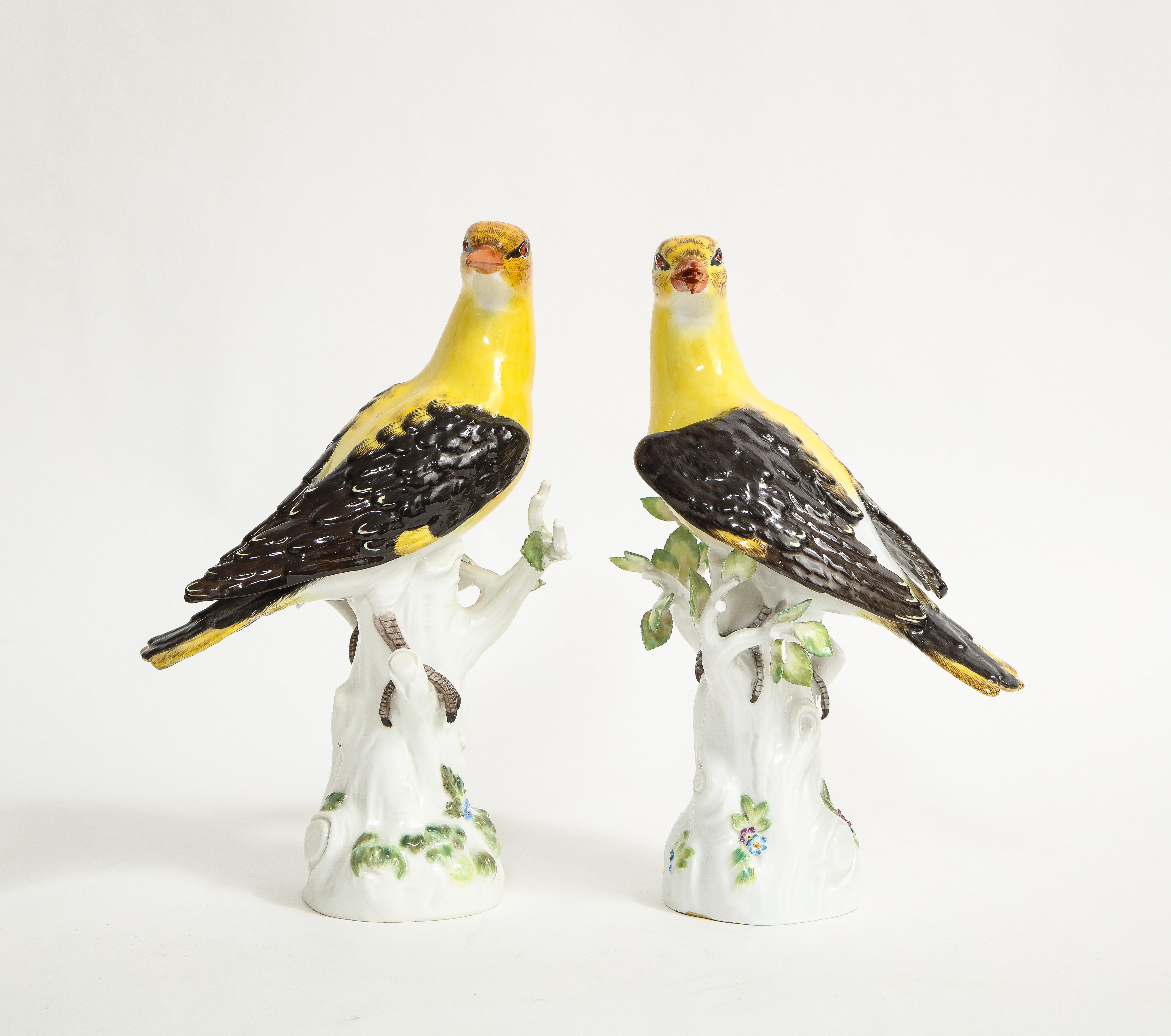 Pair of 19/20th C. Louis XVI Style Meissen Models of Golden Oriole Birds In Good Condition For Sale In New York, NY