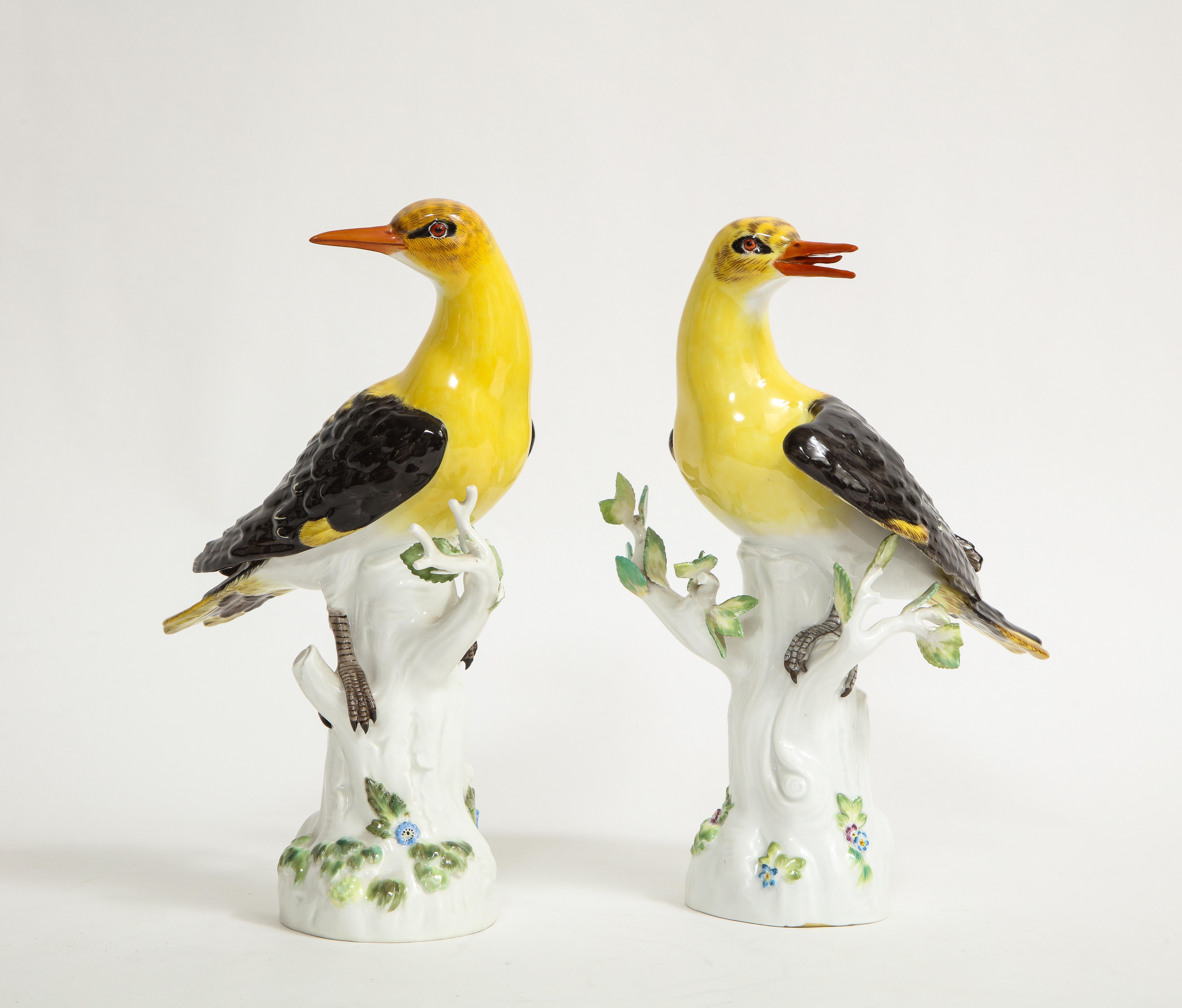 20th Century Pair of 19/20th C. Louis XVI Style Meissen Models of Golden Oriole Birds For Sale