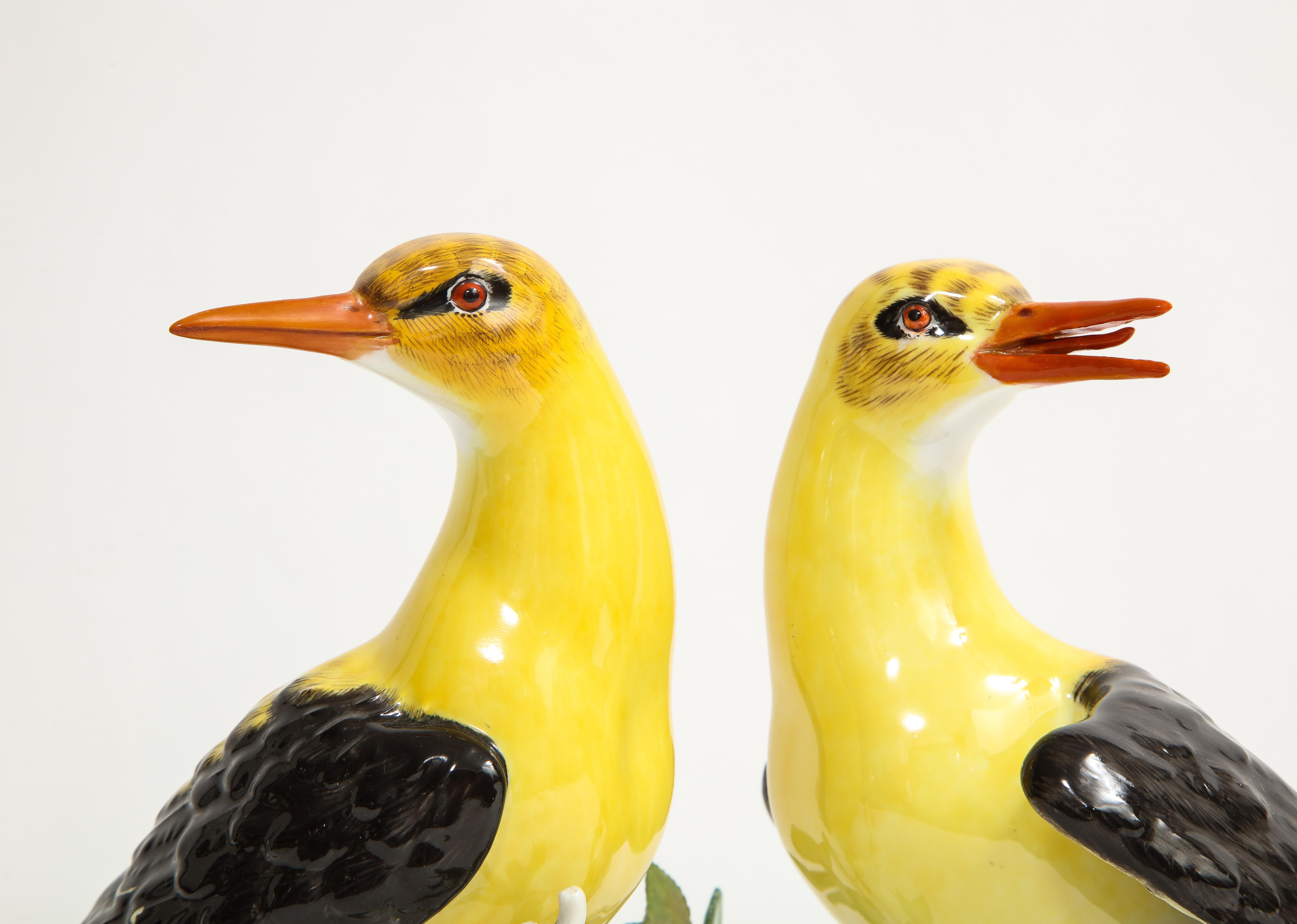 Porcelain Pair of 19/20th C. Louis XVI Style Meissen Models of Golden Oriole Birds For Sale