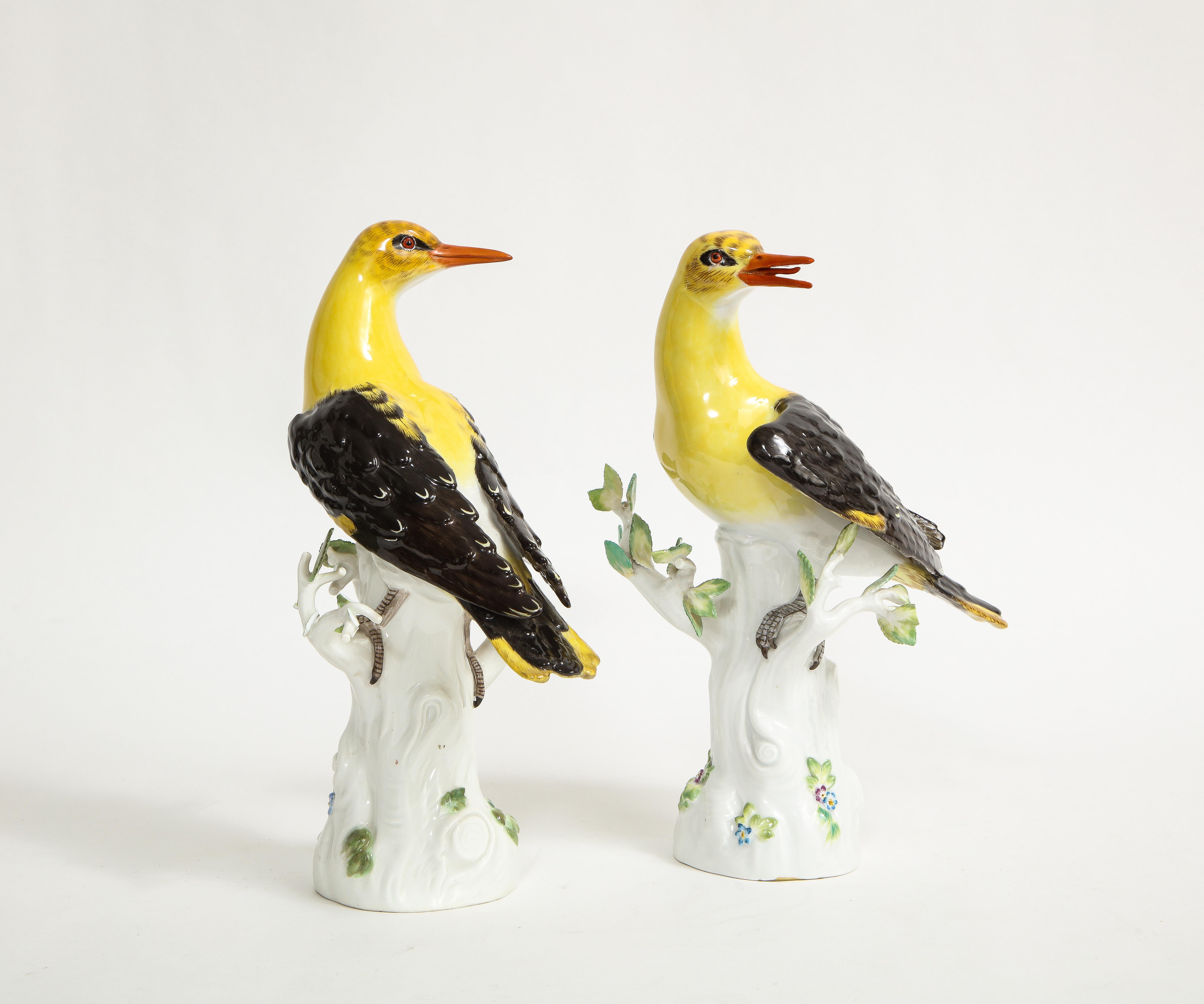 Pair of 19/20th C. Louis XVI Style Meissen Models of Golden Oriole Birds For Sale 1