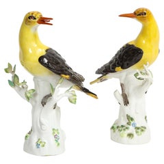 Pair of 19/20th C. Louis XVI Style Meissen Models of Golden Oriole Birds