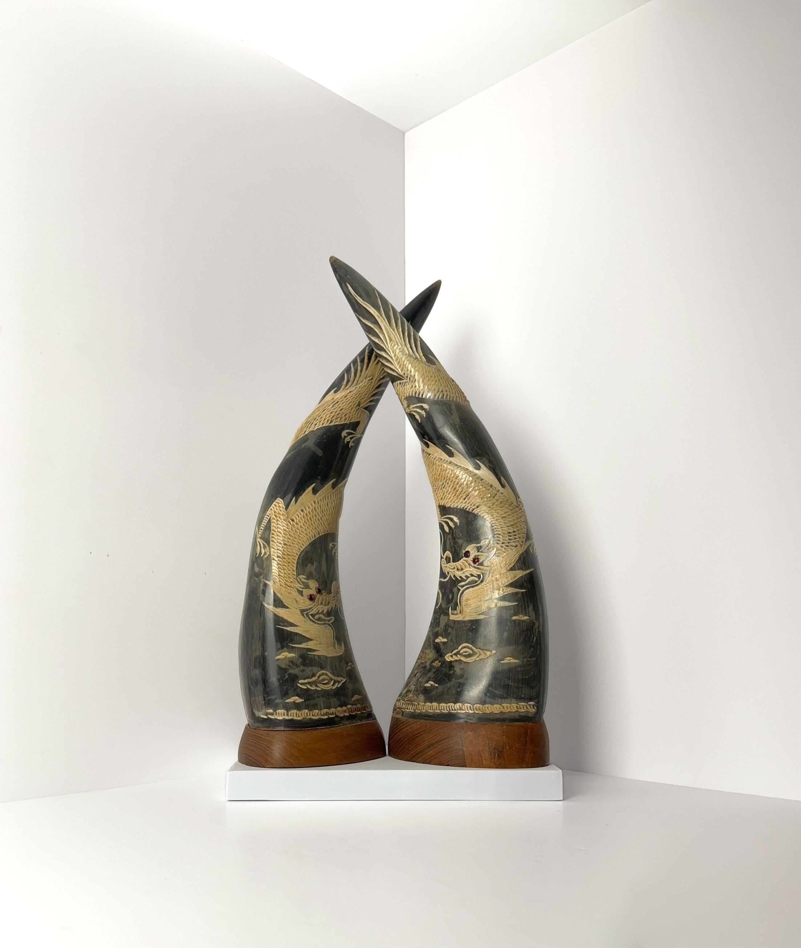 20th Century Chinese Etched Dragon Buffalo Horns, China, 1950's