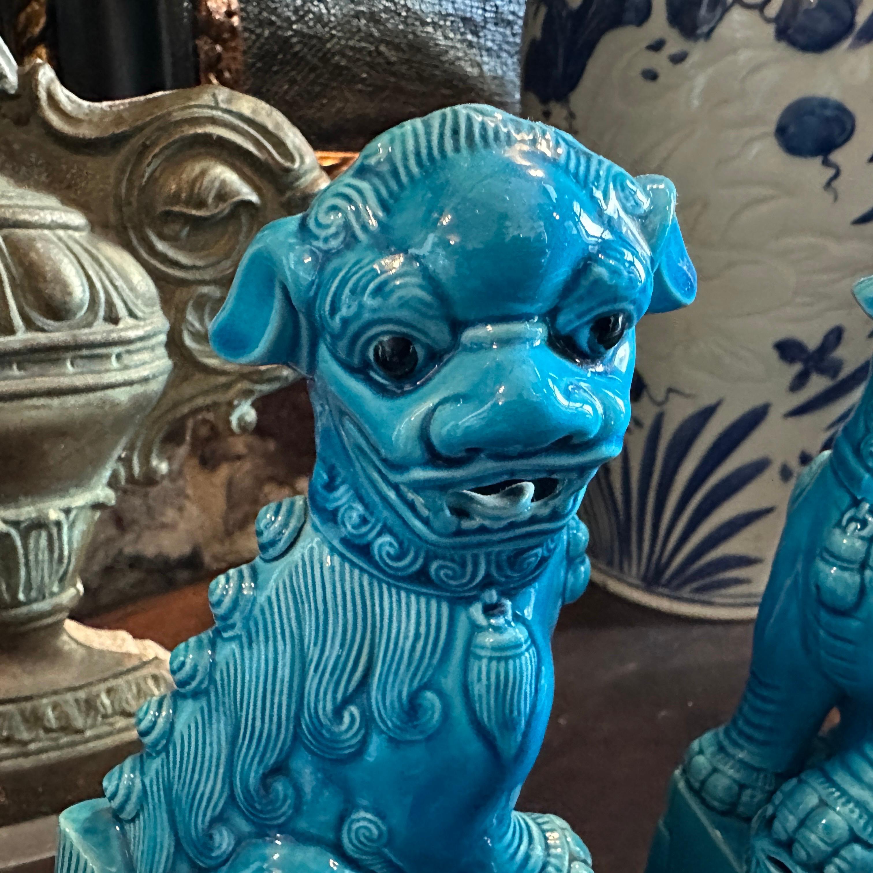 A pair of 1960s Turquoise Glazed Ceramic Chinese Pho Dogs For Sale 5