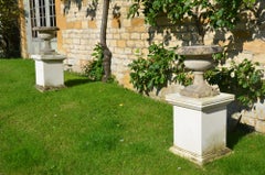 Pair of 19th Century Bath Stone Tazza Shaped Urns