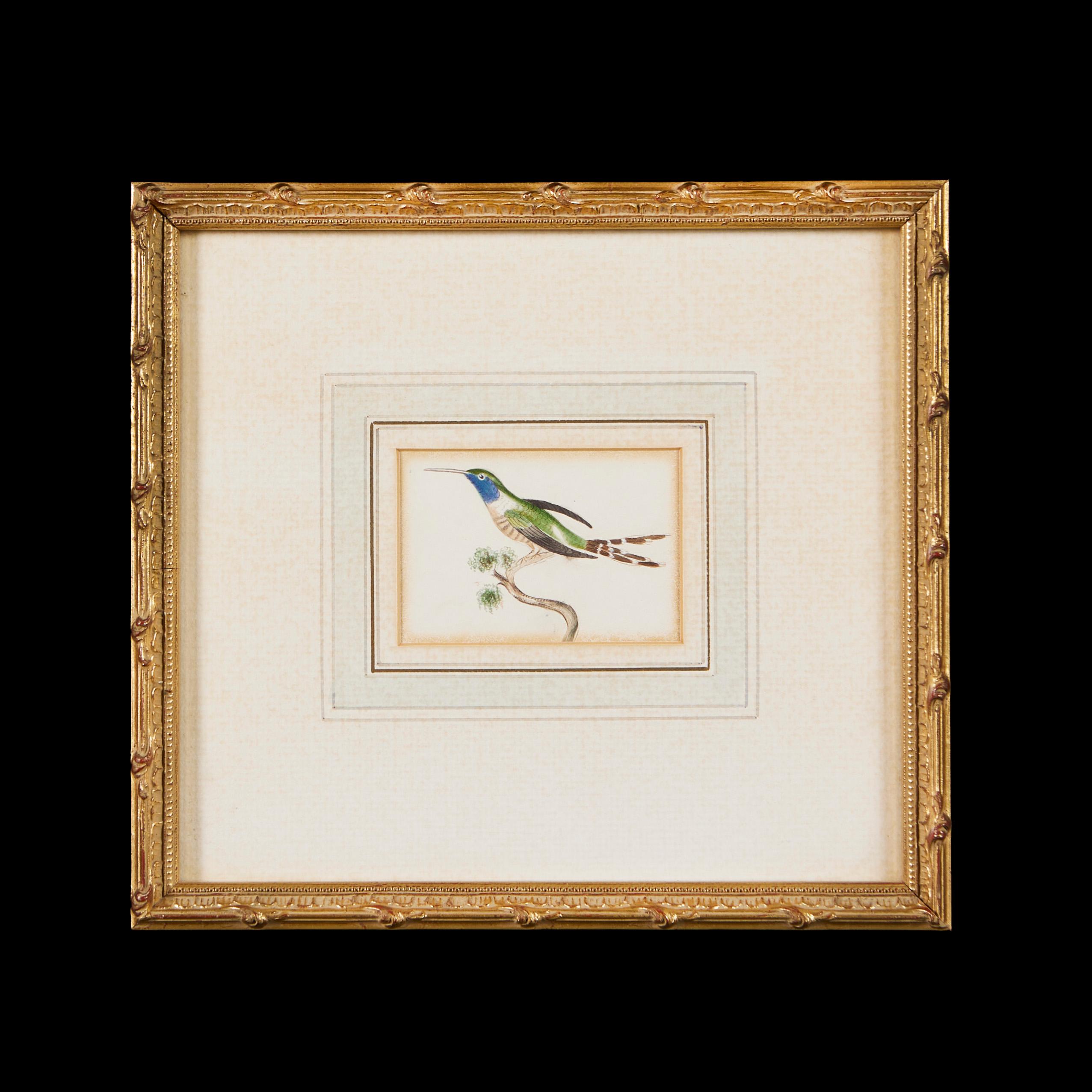 England, circa 1834

Two fine nineteenth century watercolour paintings of exotic birds taken from a sketchbook belonging to the Molyneux family of Isfield, executed on Whatman paper watermarked 1834 and mounted in giltwood frames. 

Height