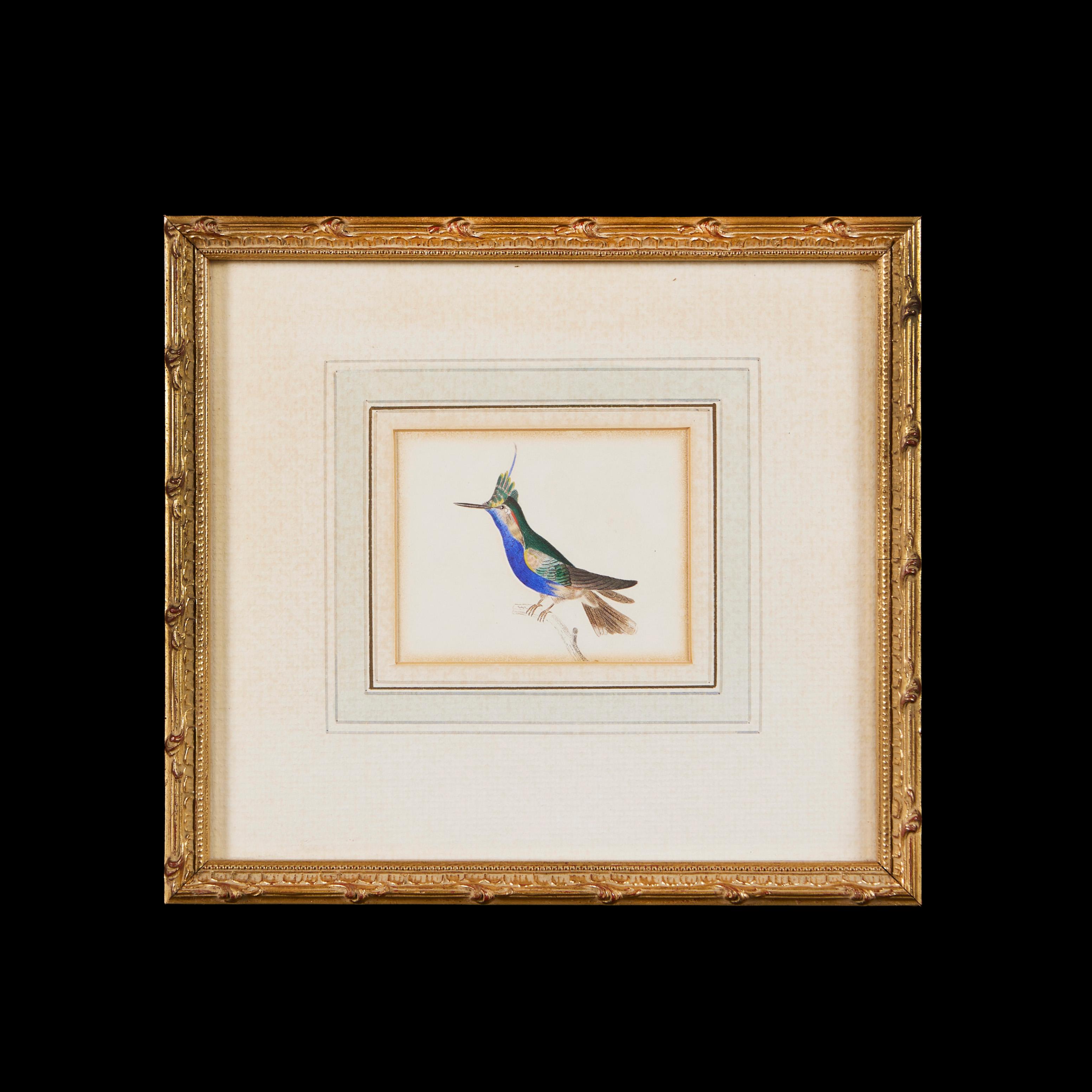 Anglais Paire d'aquarelles d'oiseaux du 19e siècle dans des cadres en bois doré 