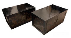 A Pair of 19th Century Black Lacquer Cabinet