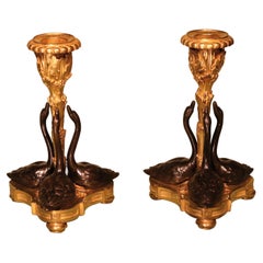 Pair of 19th Century Bronze and Ormolu Swan Candlesticks