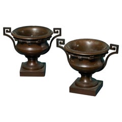 A Pair Of 19th Century Bronze Tazza Urns