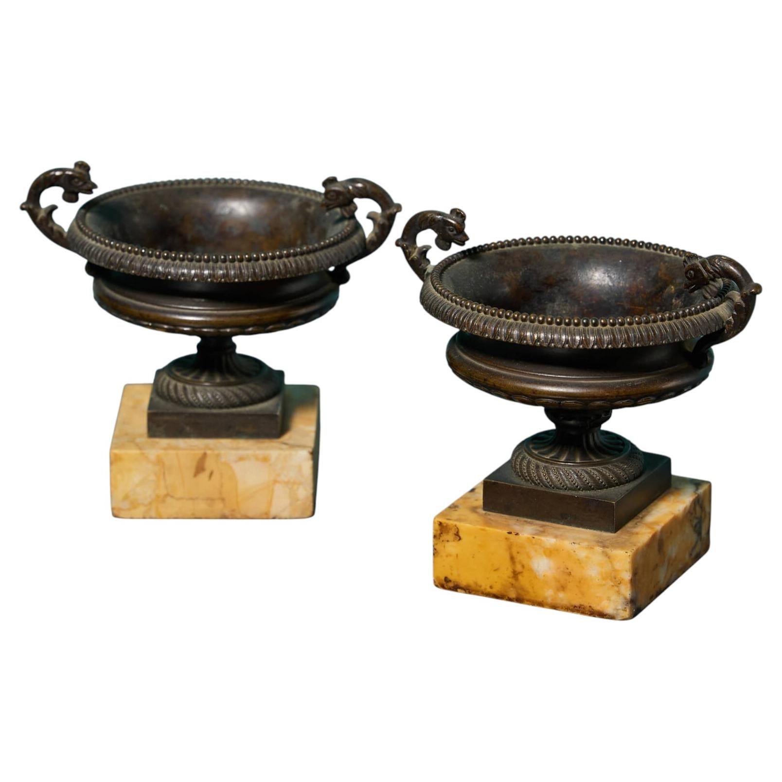 A Pair Of 19th Century Bronze Tazza Urns On Sienna Marble Bases