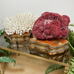 Pair of 19th C Gold Carved Wood and Gilt Gesso Display Stands