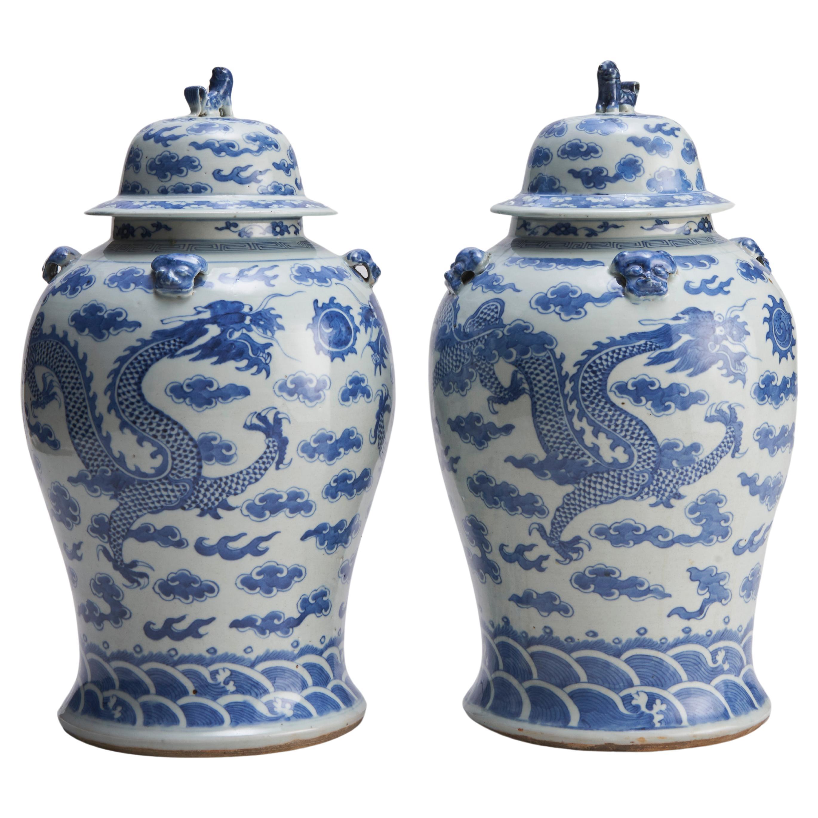 A pair of 19th Century Chinese blue and white porcelain covered jars For Sale