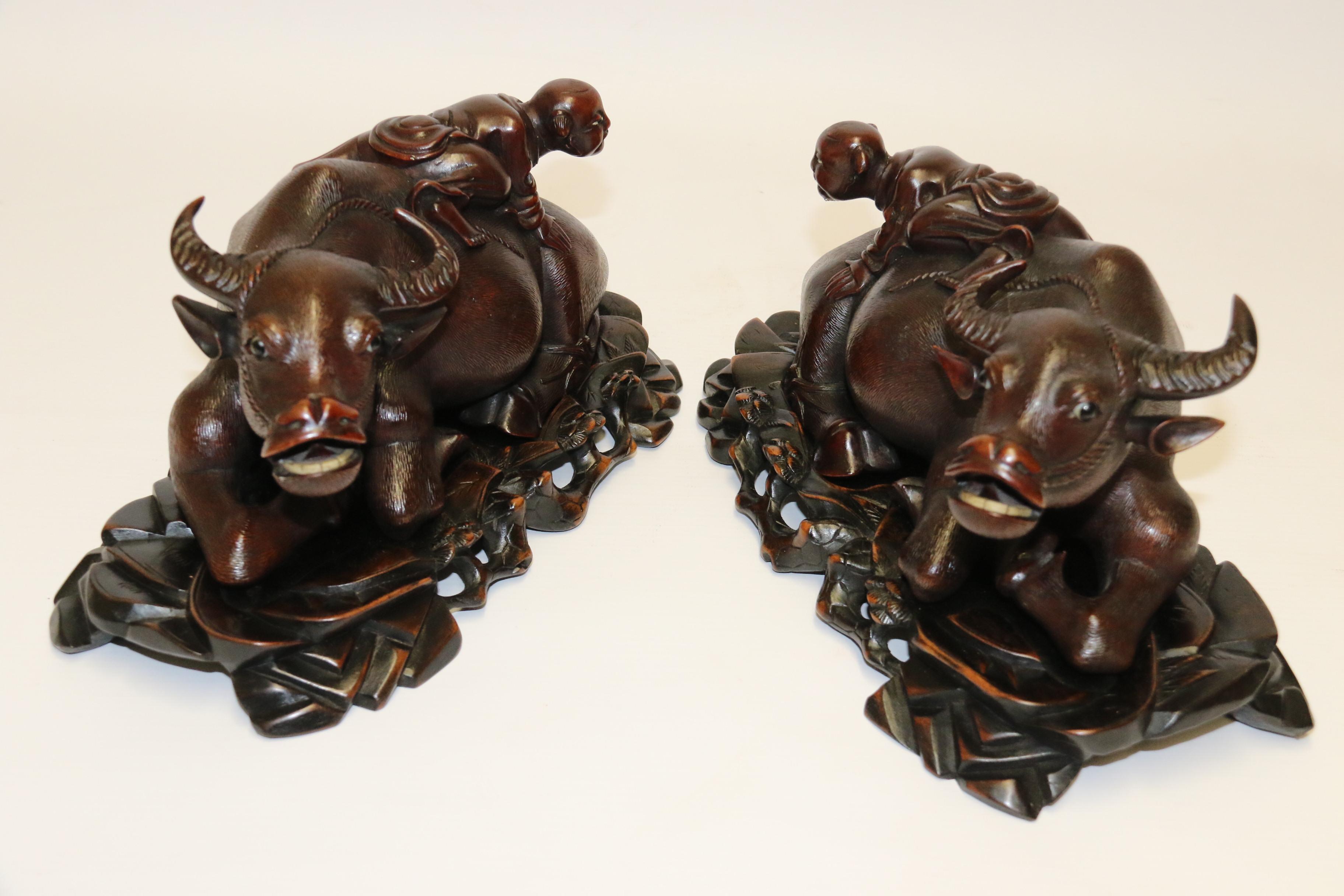 This pair of late 19th century Chinese hardwood figures are superbly carved with amazing detail. They depict two water buffalo which are lying down and humorously each one has a boy climbing on its back. The expressions of the shocked buffalo are