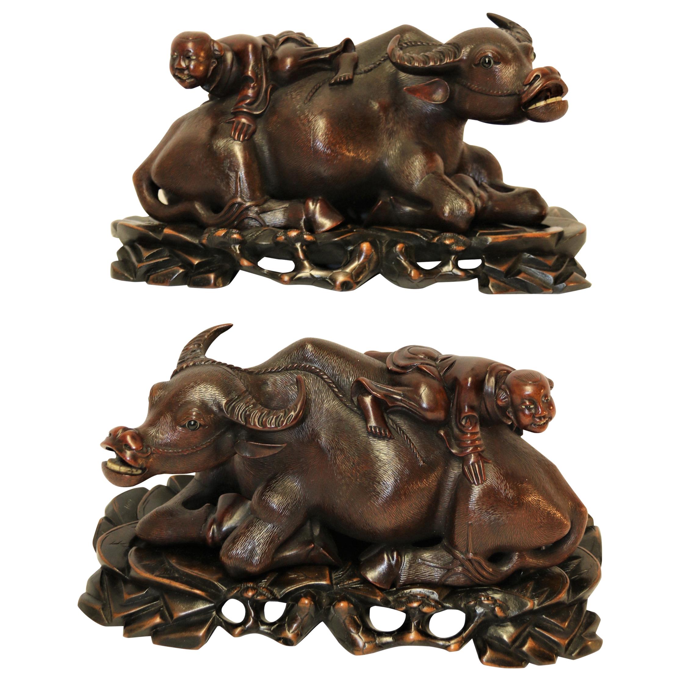 Pair of 19th Century Chinese Hardwood Water Buffalo on Stands, circa 1880 For Sale