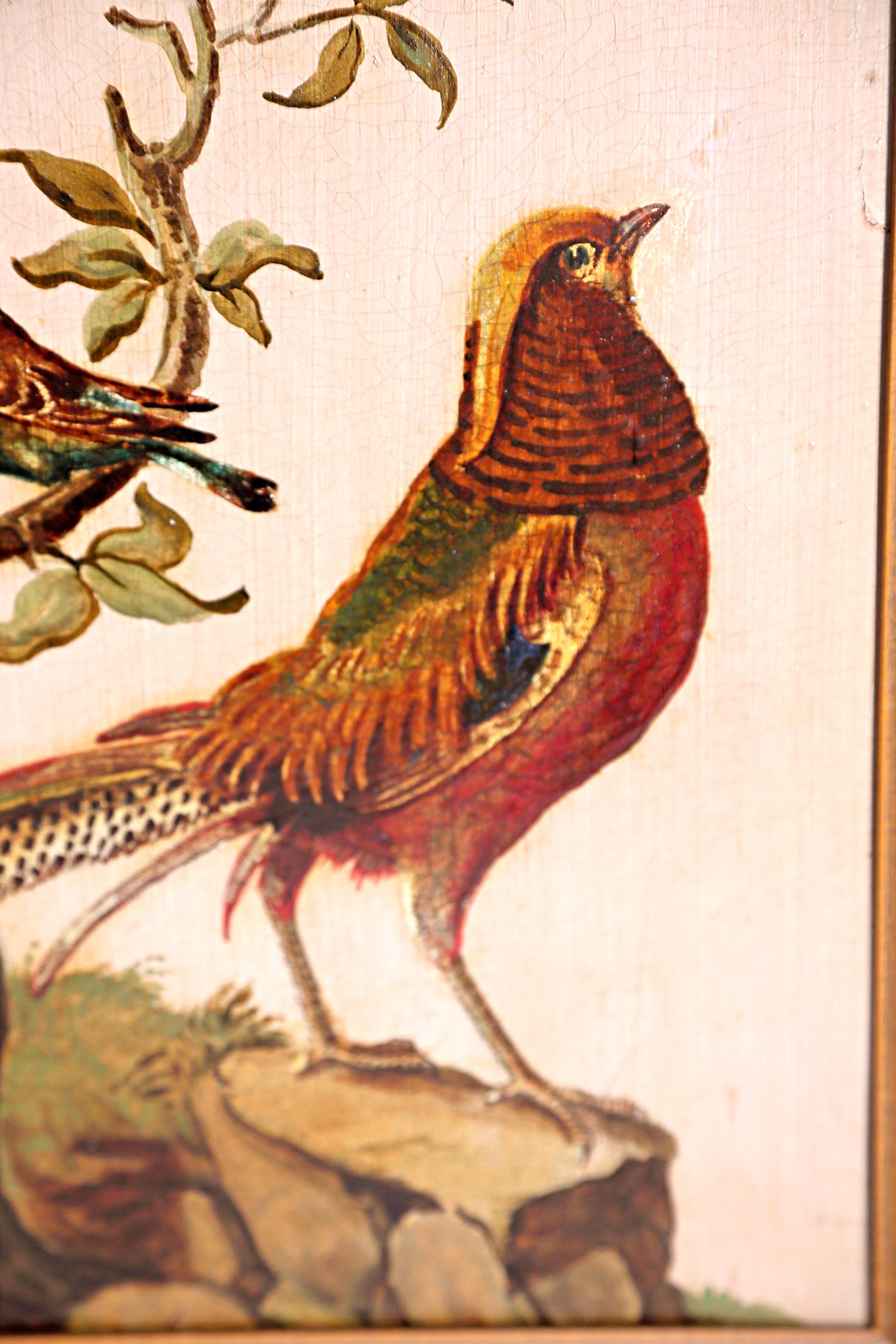 Canvas Pair of 19th Century Continental Paintings of Birds on Board