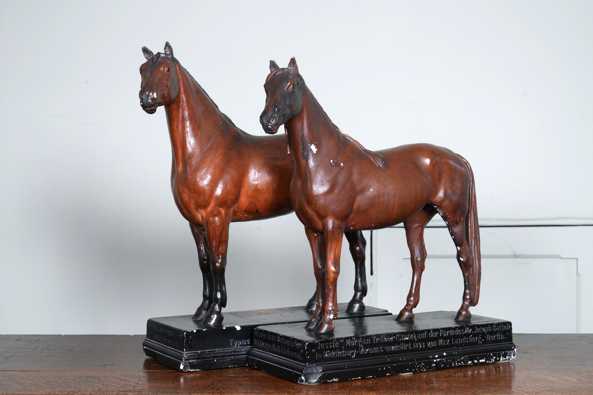 Une paire de modèles en plâtre de chevaux adultes par Max Landsberg.

Label en allemand sur tous les côtés de la base avec les restes d'une étiquette en papier sur le dessus.

Ces modèles ont été produits à l'origine pour le Musée de l'agriculture