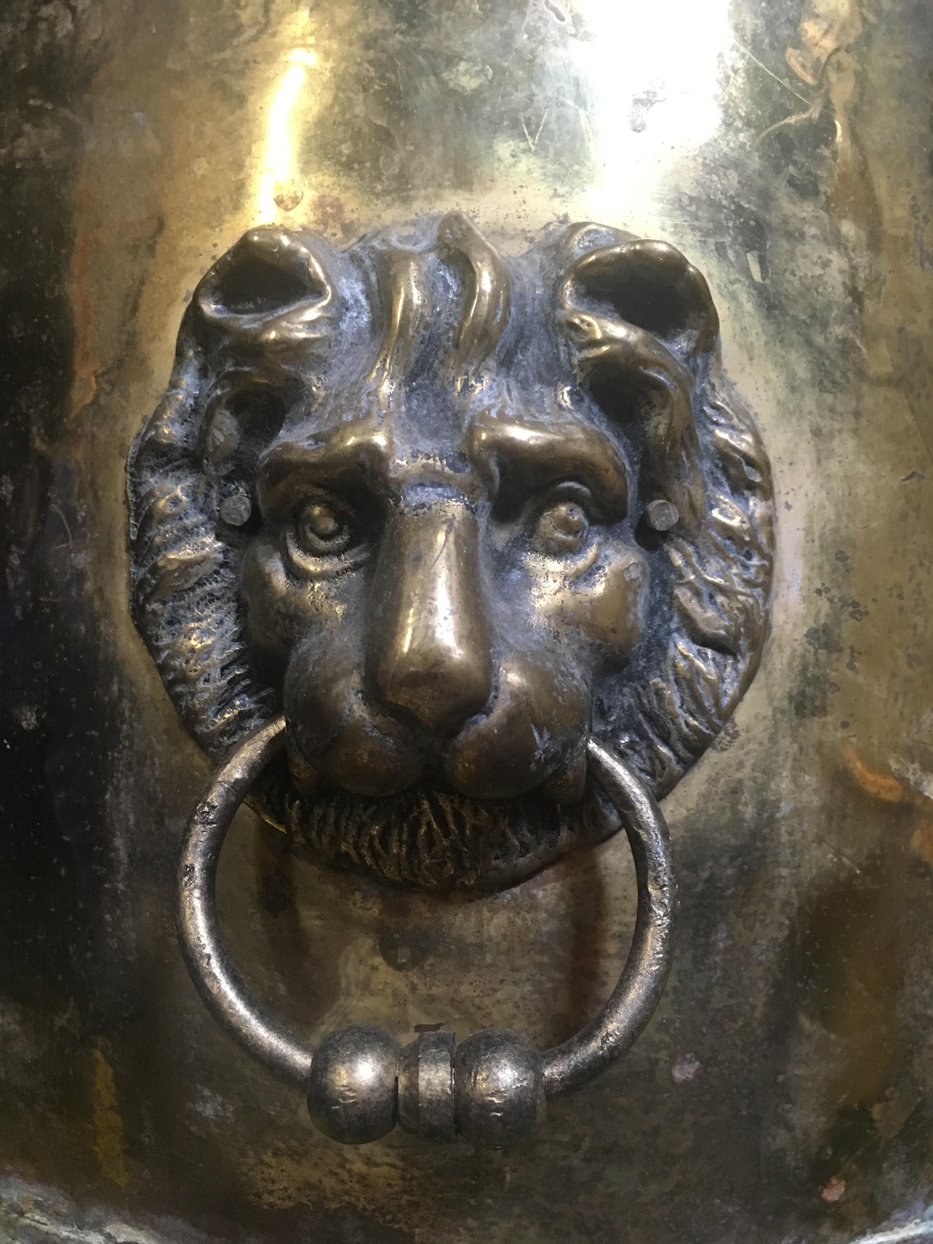 Pair of 19th Century English Brass Planters with Lion Handles 1
