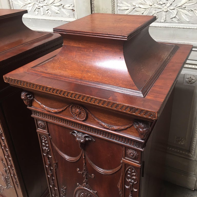 Carved Pair of 19th Century English George III Style Mahogany Pedestal Cabinets For Sale